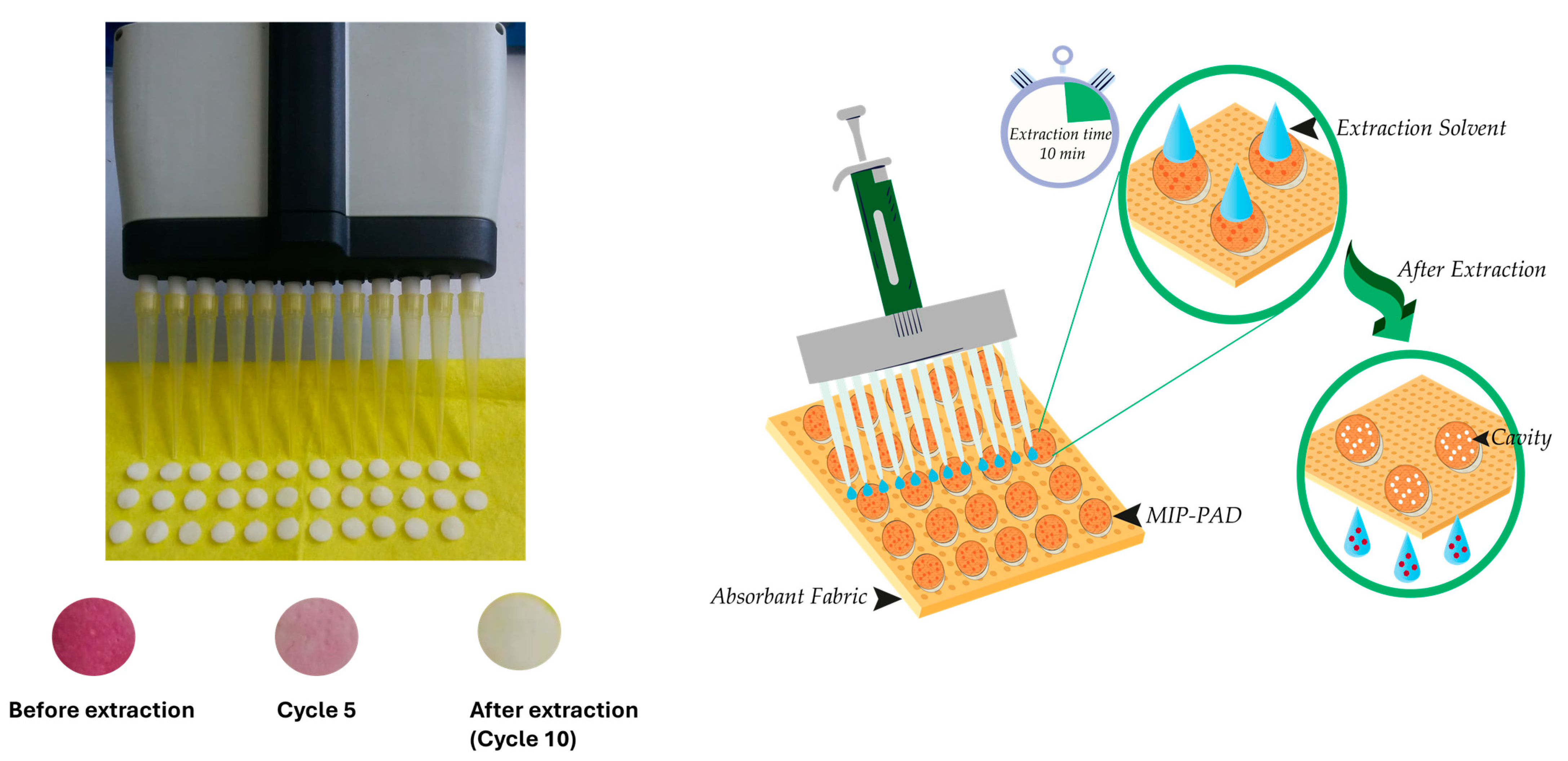 Chemosensors 12 00232 sch002