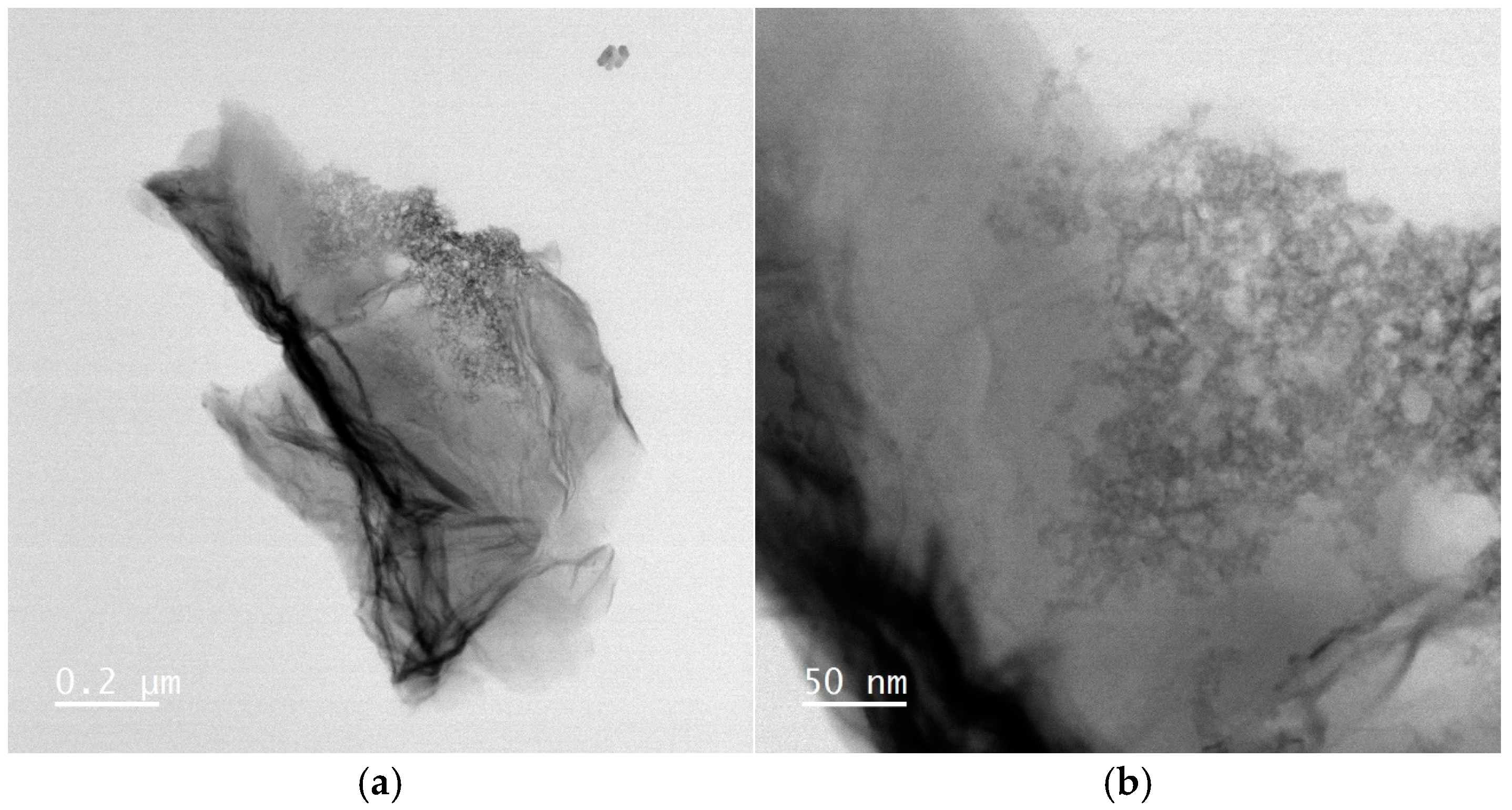 Chemosensors 12 00256 g005a