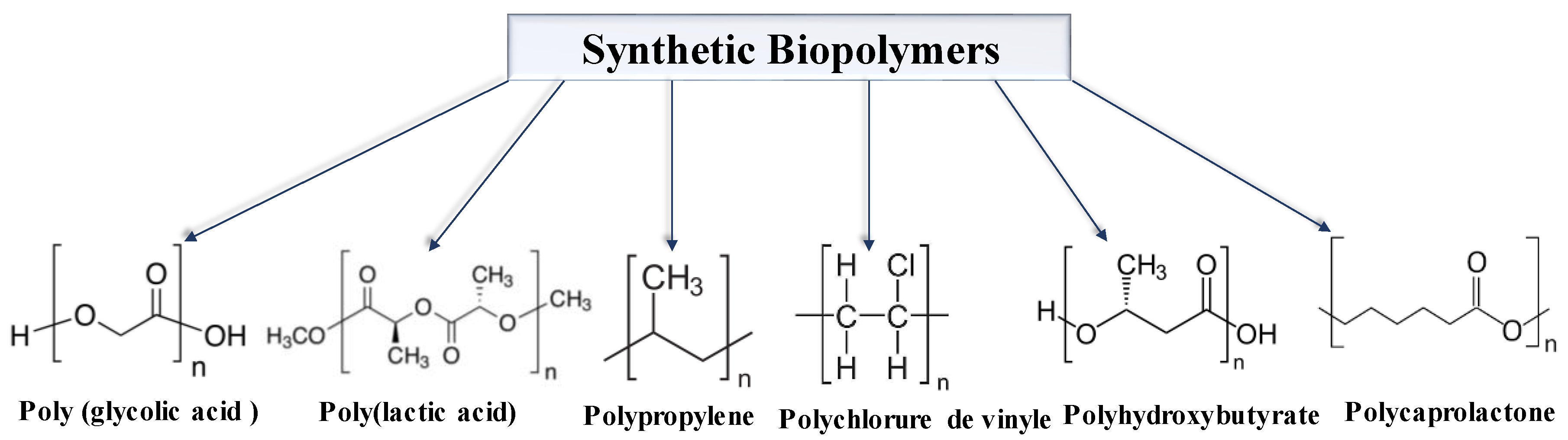 Chemosensors 12 00267 g002