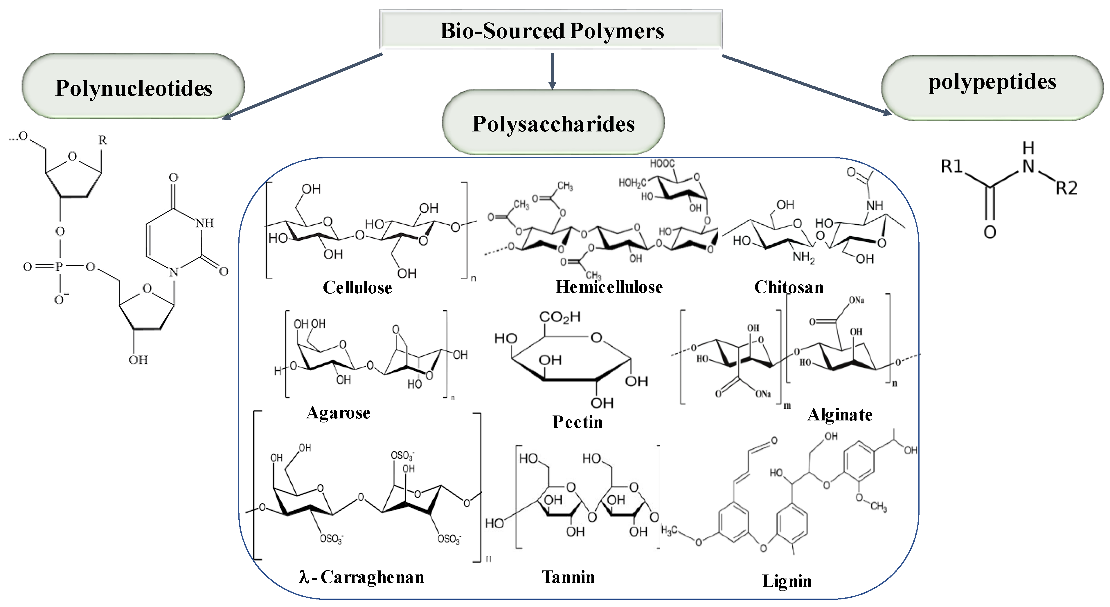 Chemosensors 12 00267 g003
