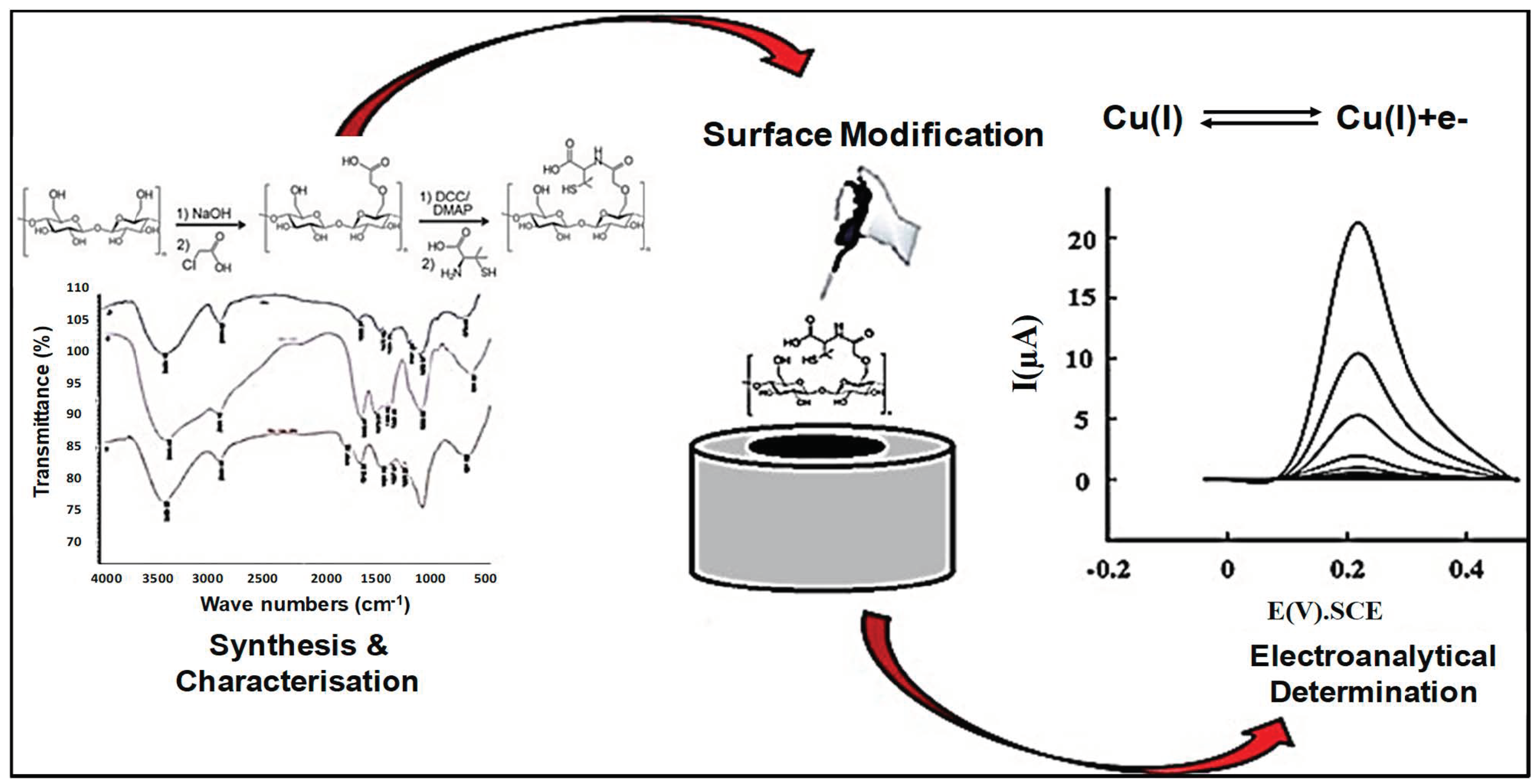 Chemosensors 12 00267 g004