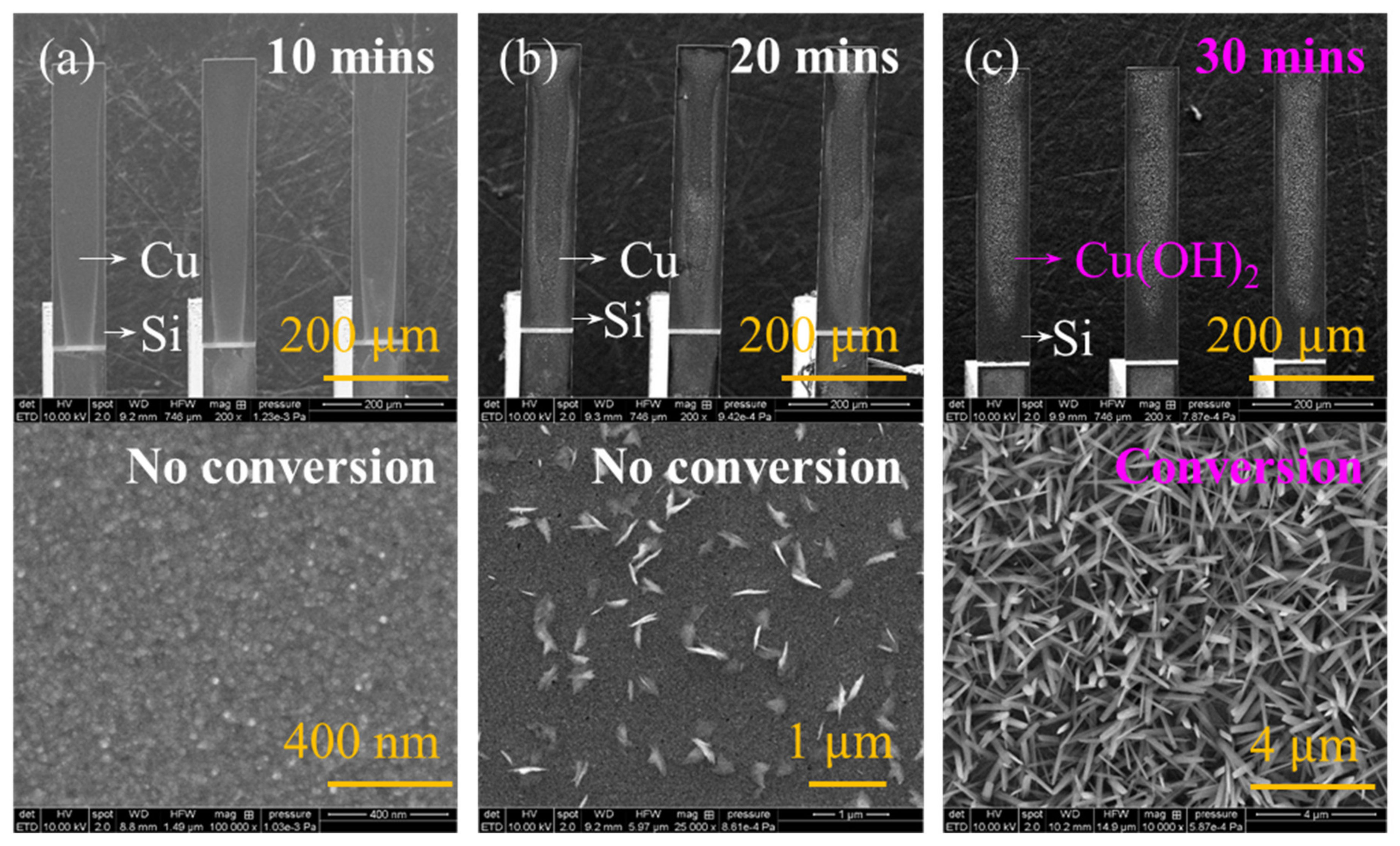 Chemosensors 13 00008 g003