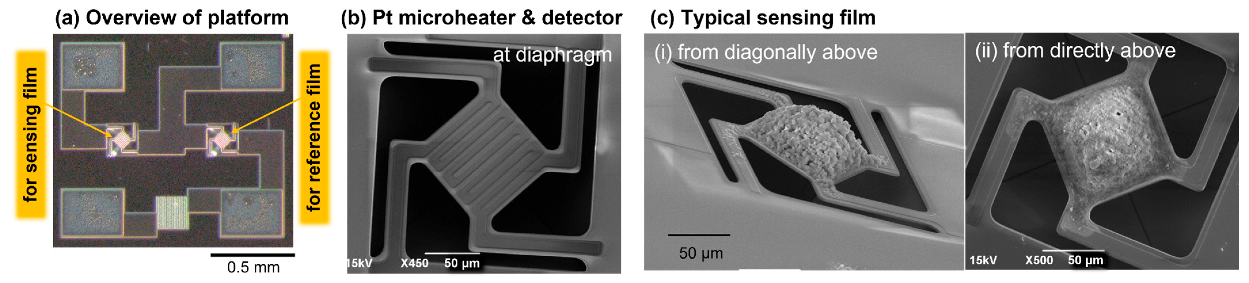 Chemosensors 13 00009 g001
