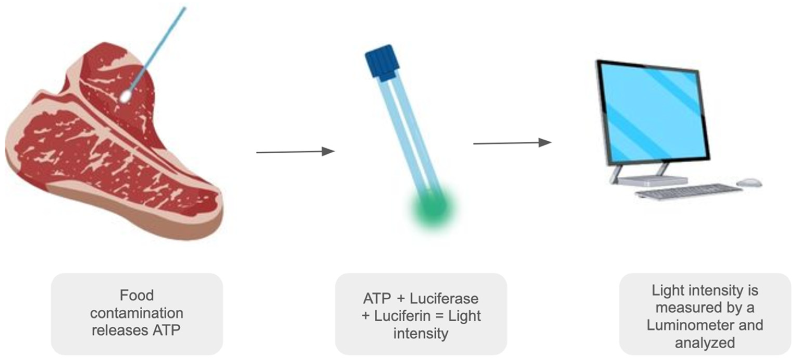 Chemosensors 13 00027 g001 Chemosensors 13 00027 g001