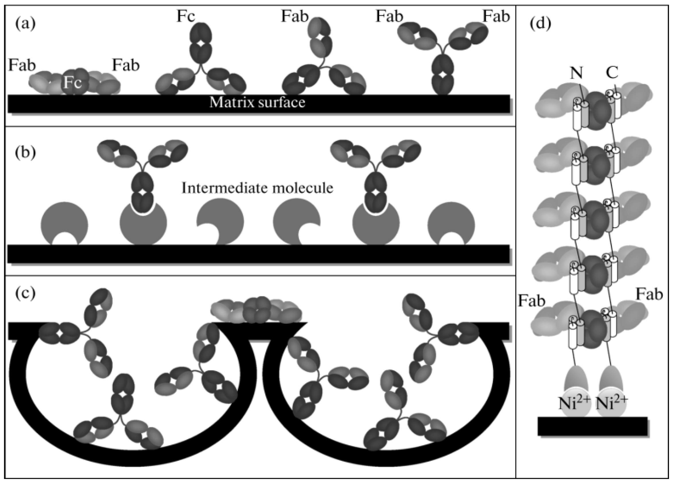 Chemosensors 13 00050 g003