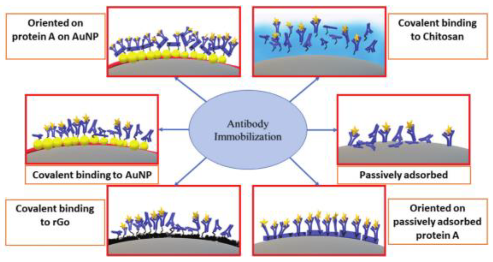Chemosensors 13 00050 g005