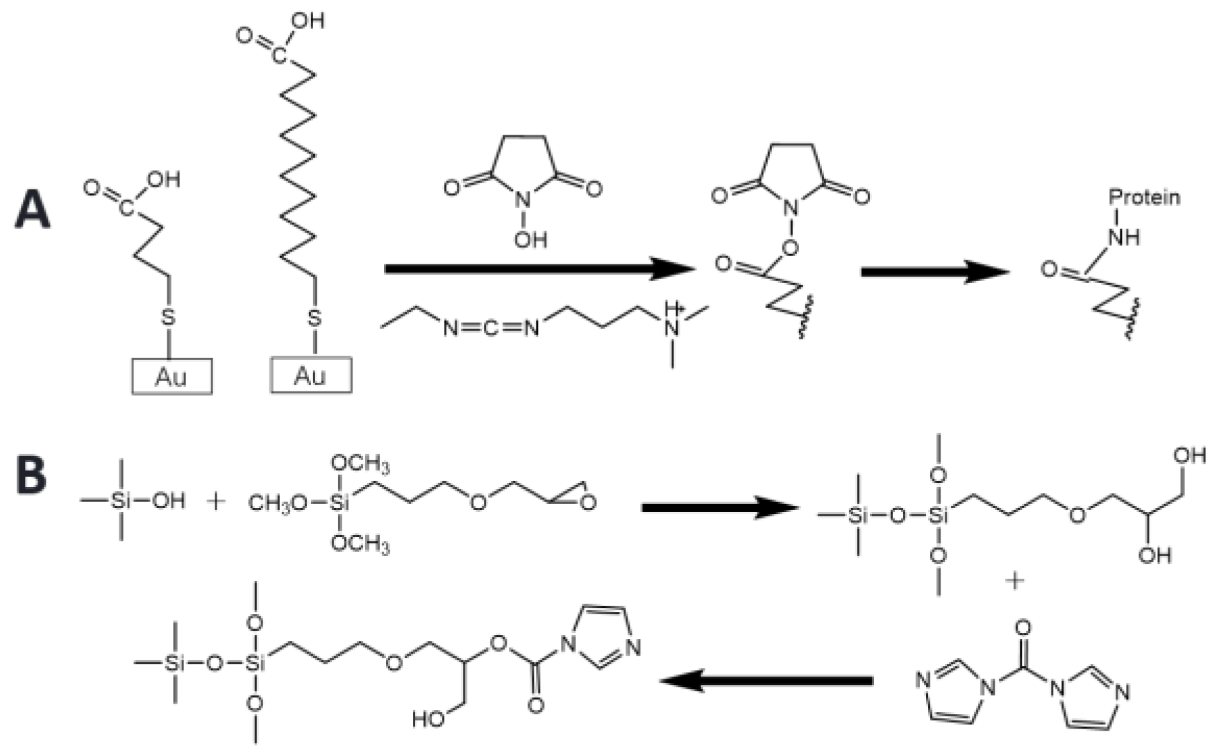 Chemosensors 13 00050 g008
