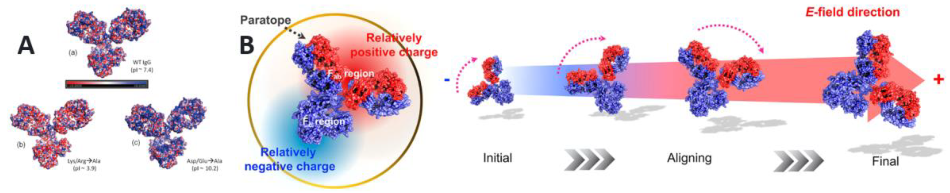 Chemosensors 13 00050 g009