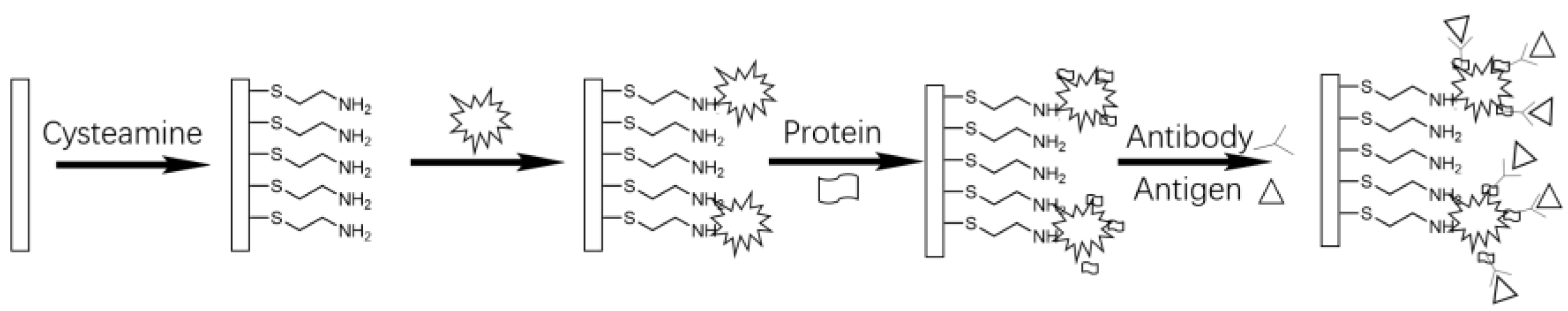 Chemosensors 13 00050 g012