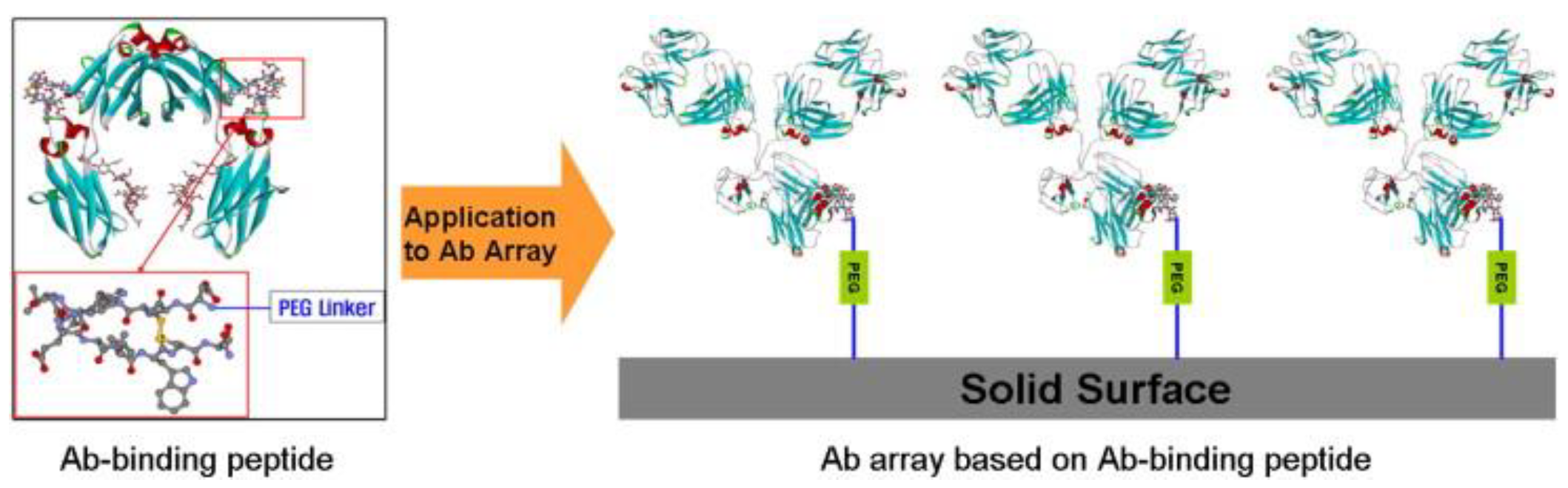 Chemosensors 13 00050 g015