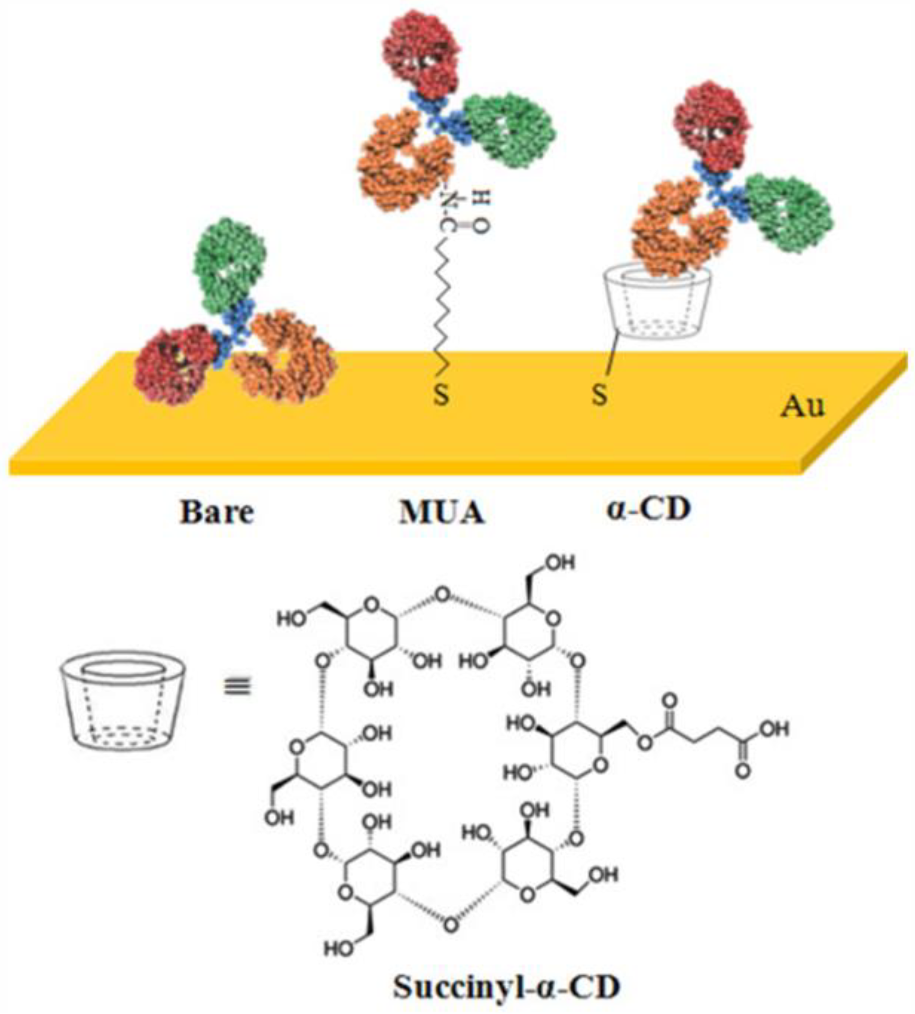 Chemosensors 13 00050 g016