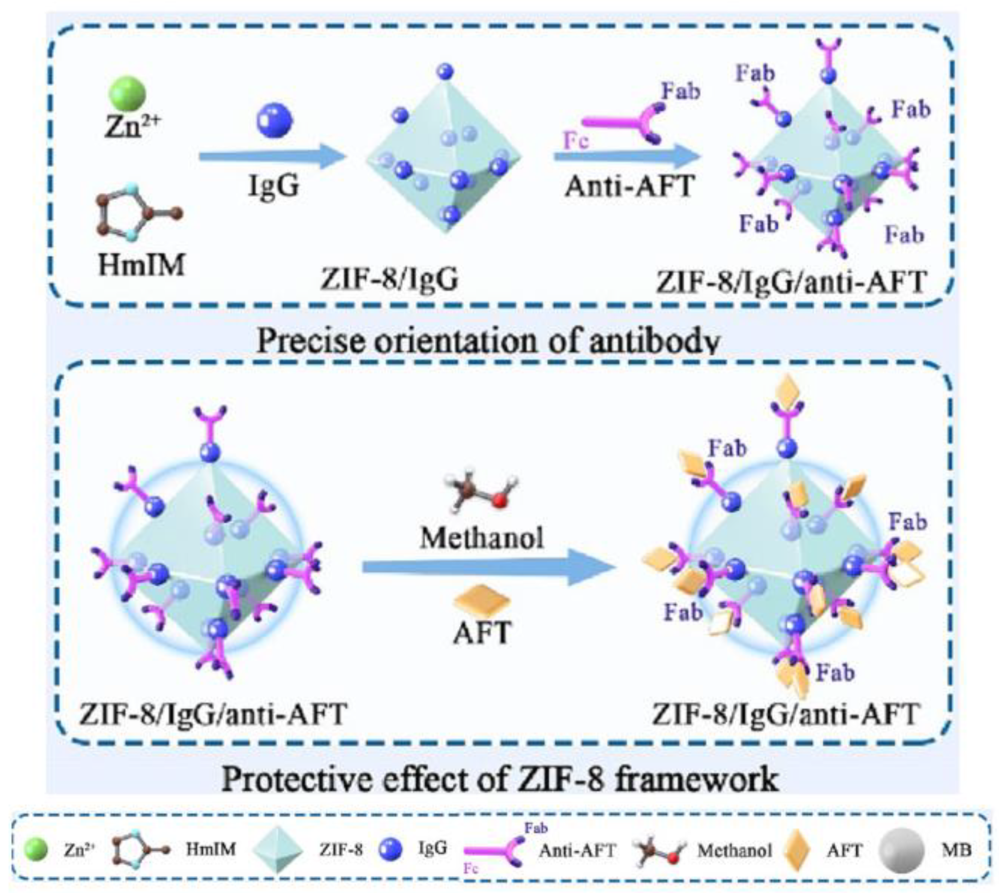 Chemosensors 13 00050 g018