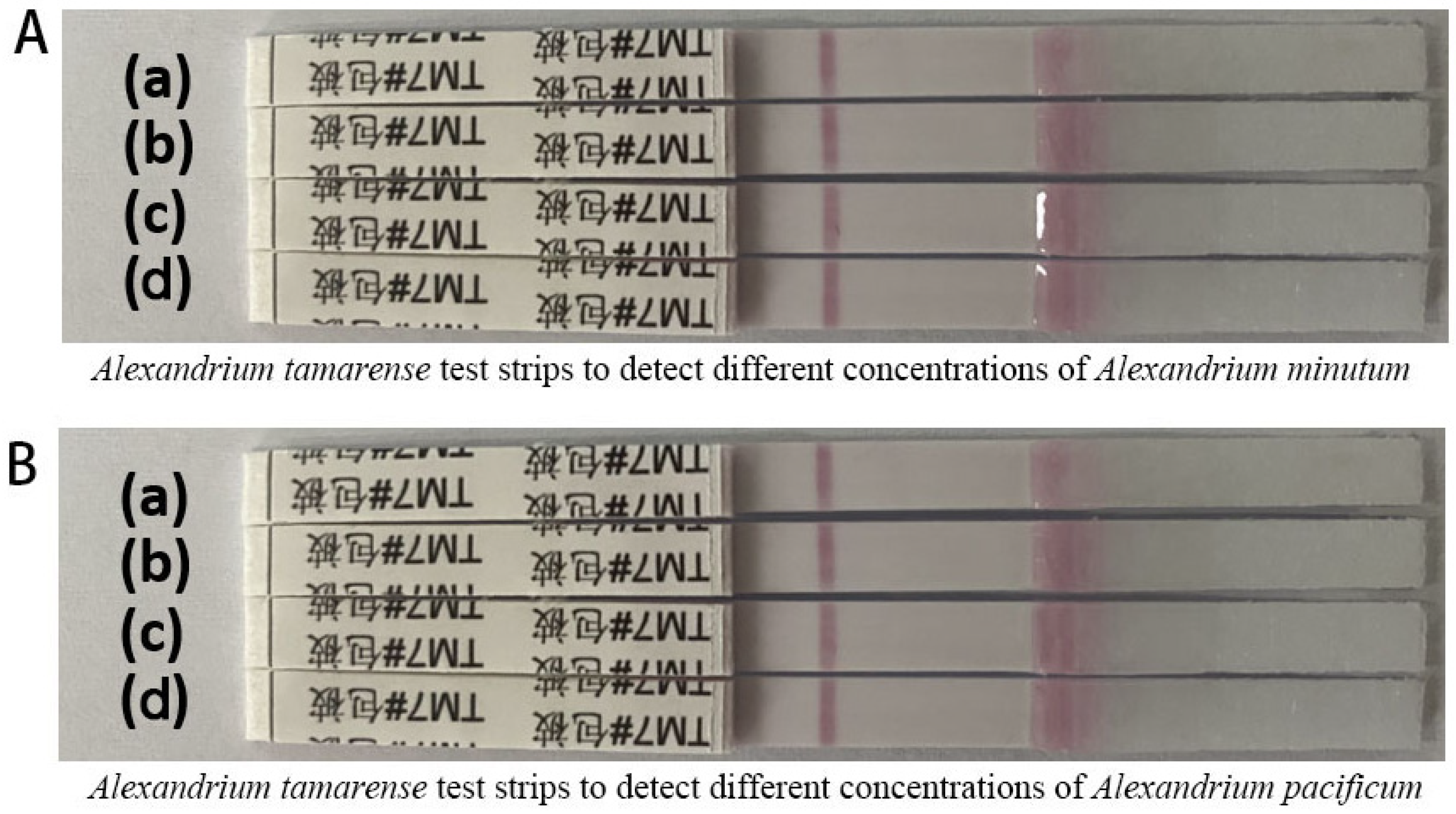 Chemosensors 13 00053 g010 Chemosensors 13 00053 g010