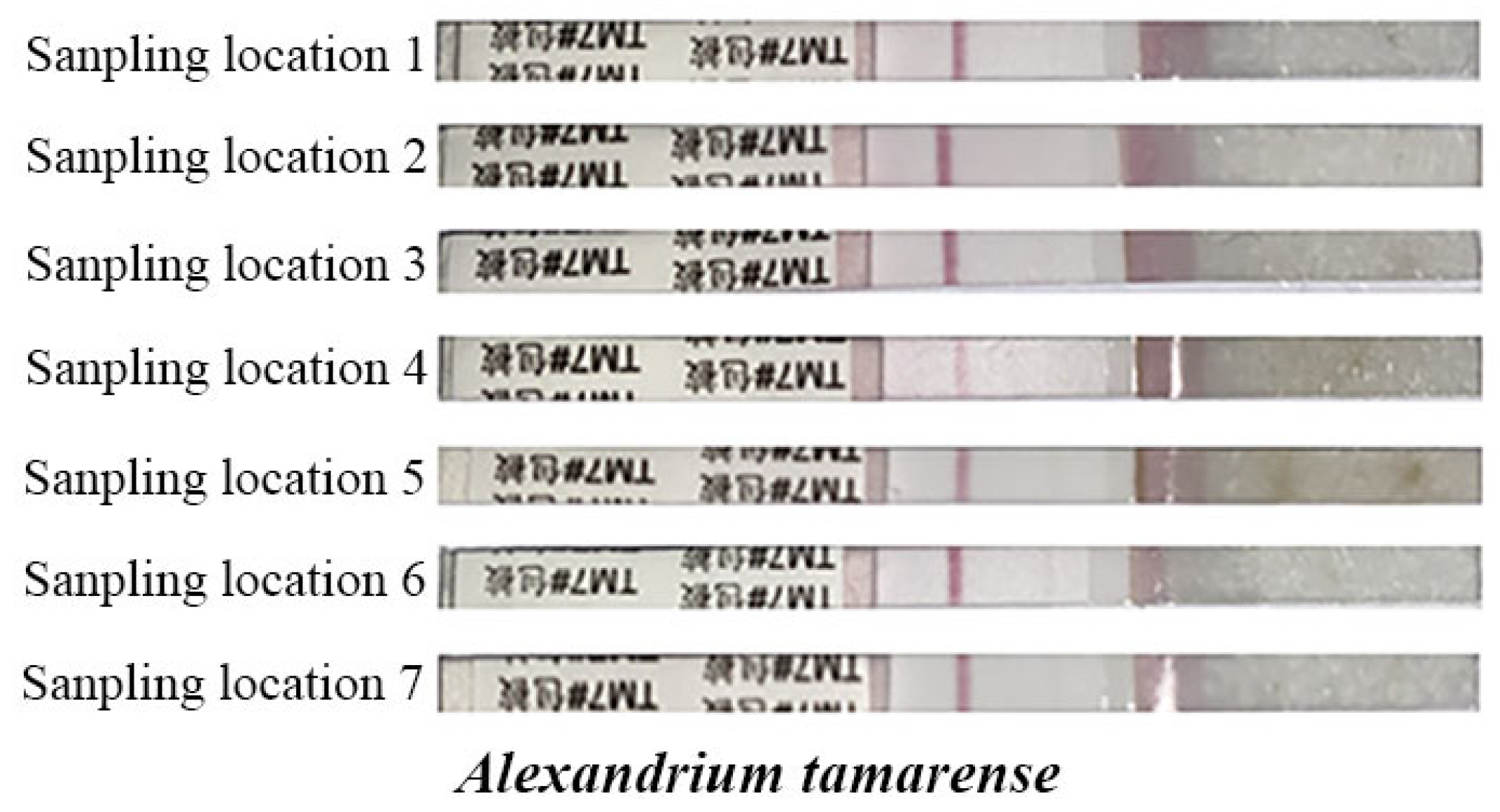 Chemosensors 13 00053 g011 Chemosensors 13 00053 g011