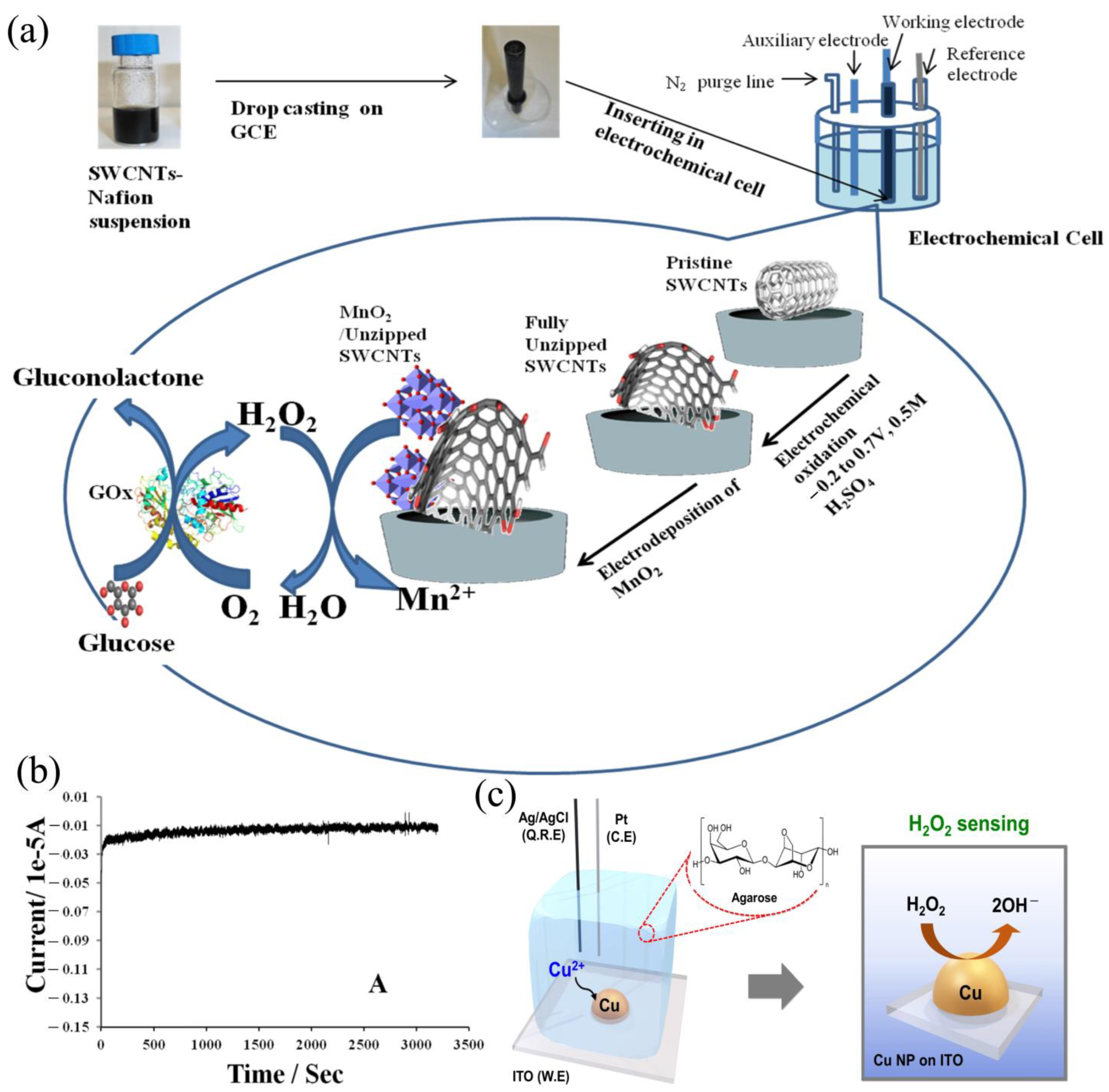 Chemosensors 13 00054 g005