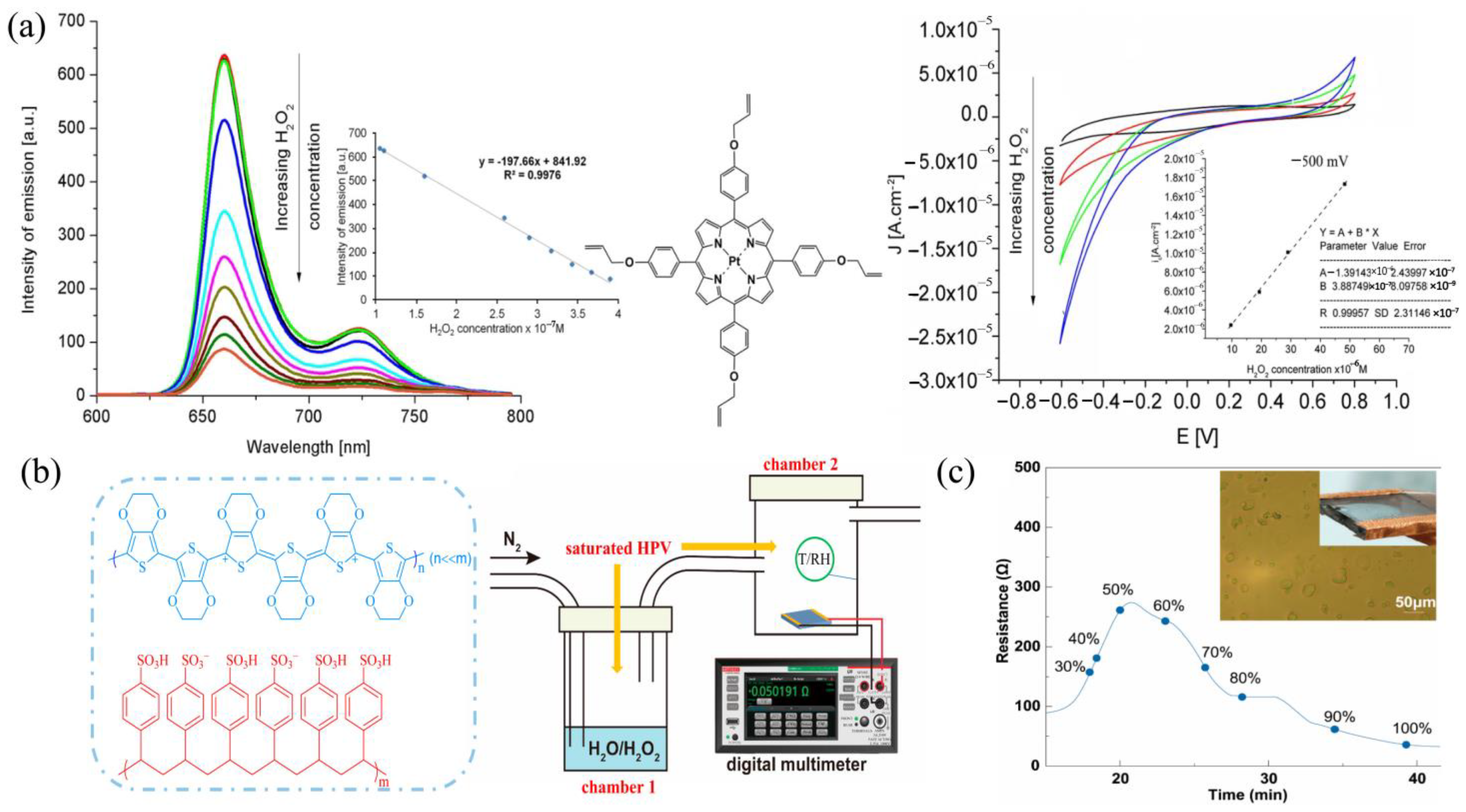 Chemosensors 13 00054 g007