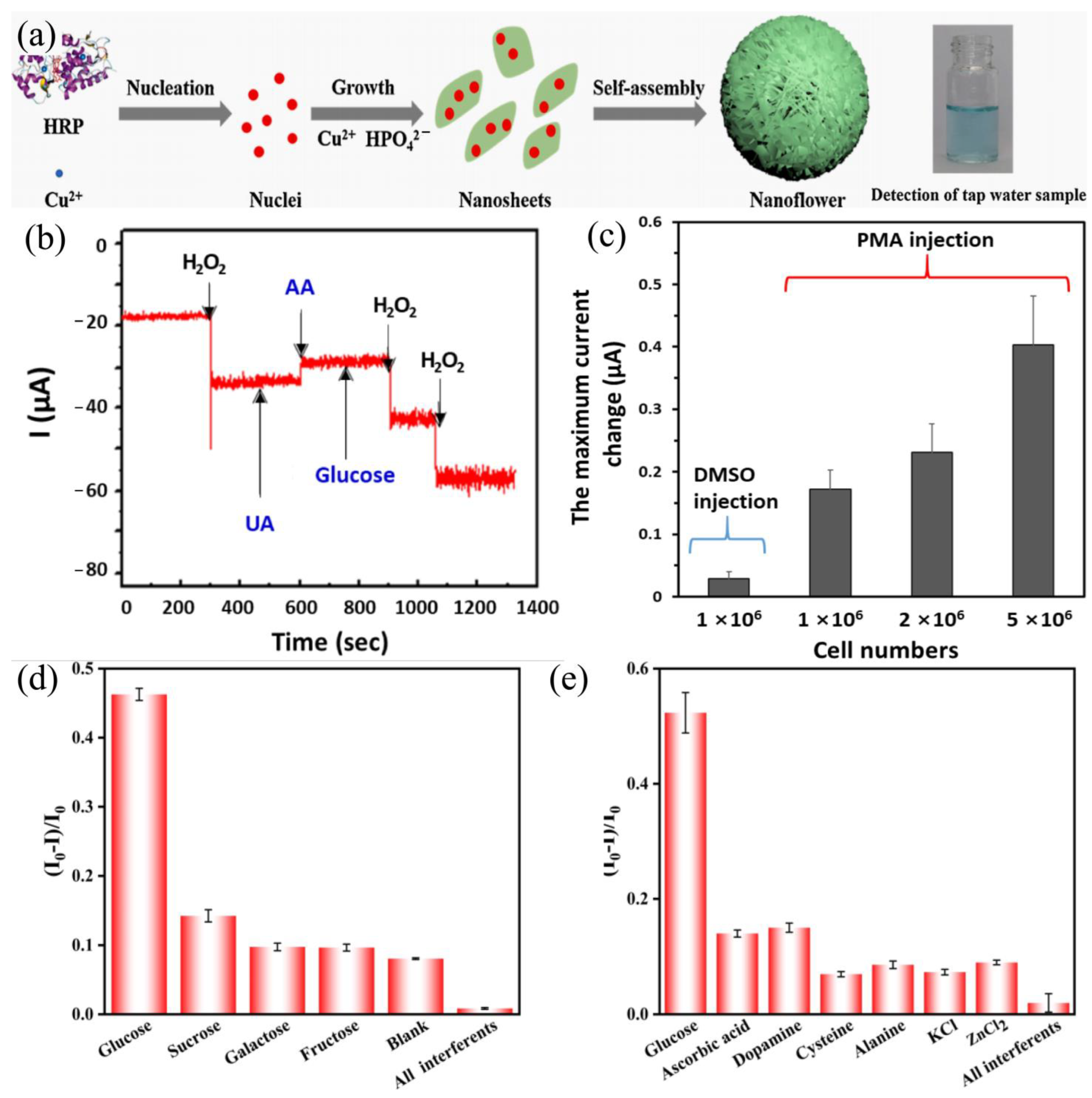 Chemosensors 13 00054 g009