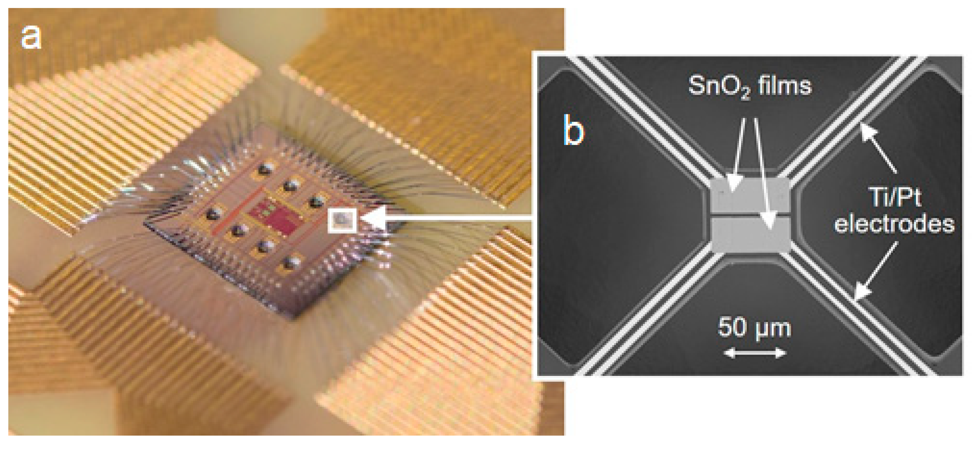 Chemosensors 13 00059 g001 Chemosensors 13 00059 g001