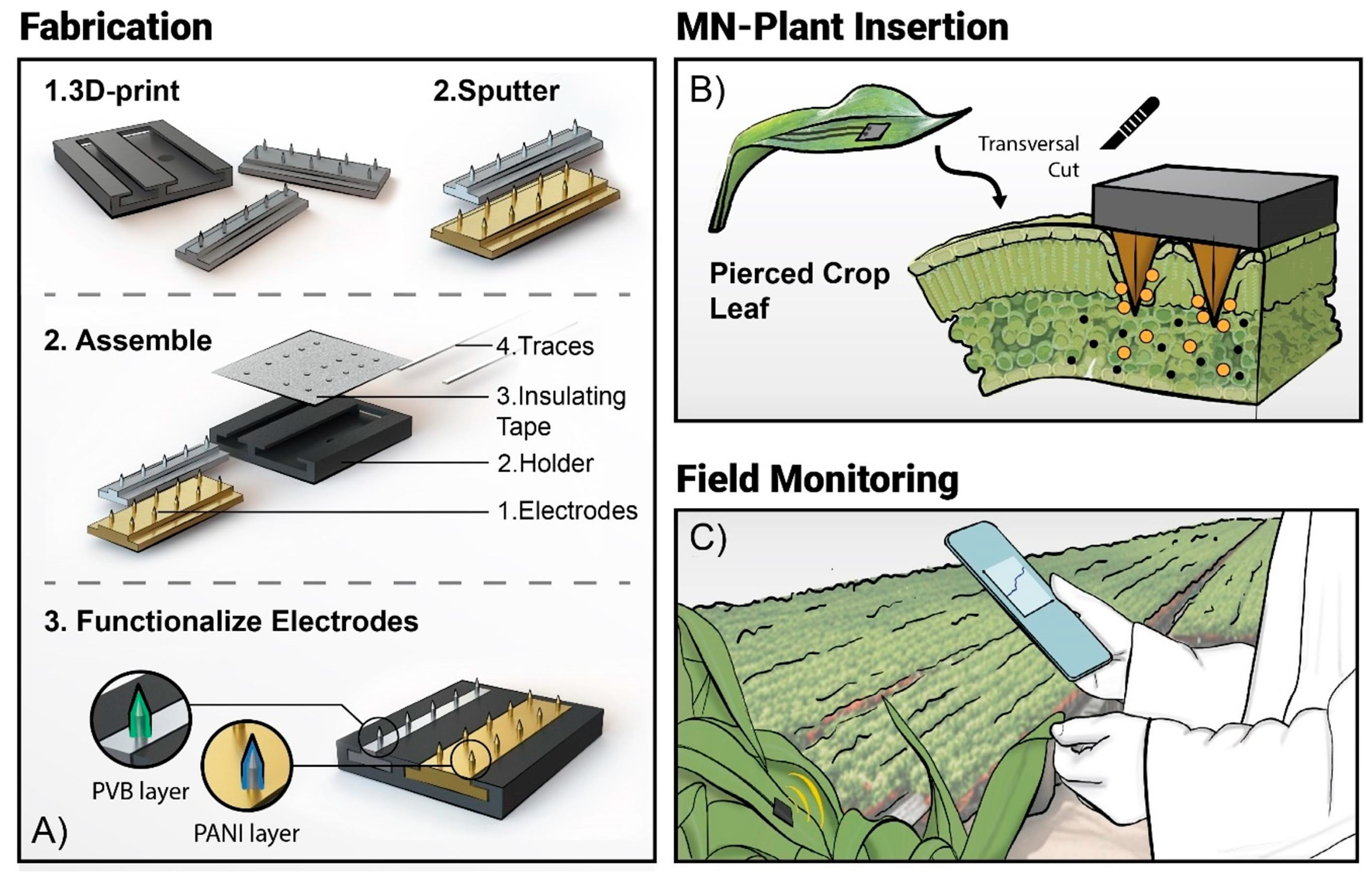 Chemosensors 13 00068 g003