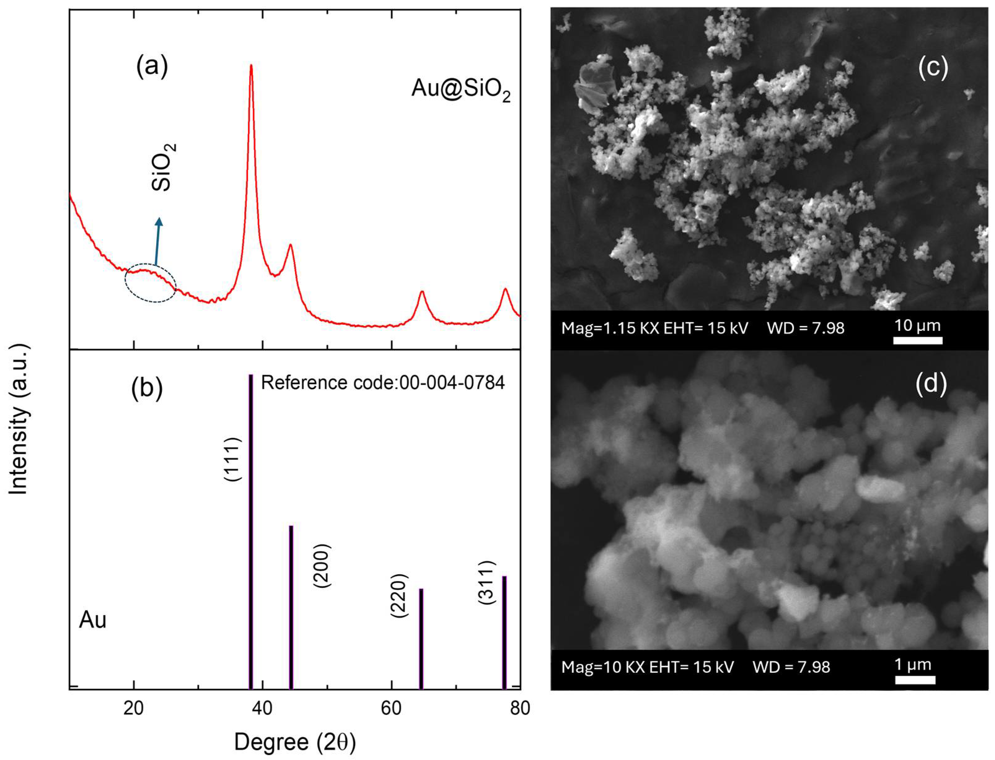 Chemosensors 13 00087 g002