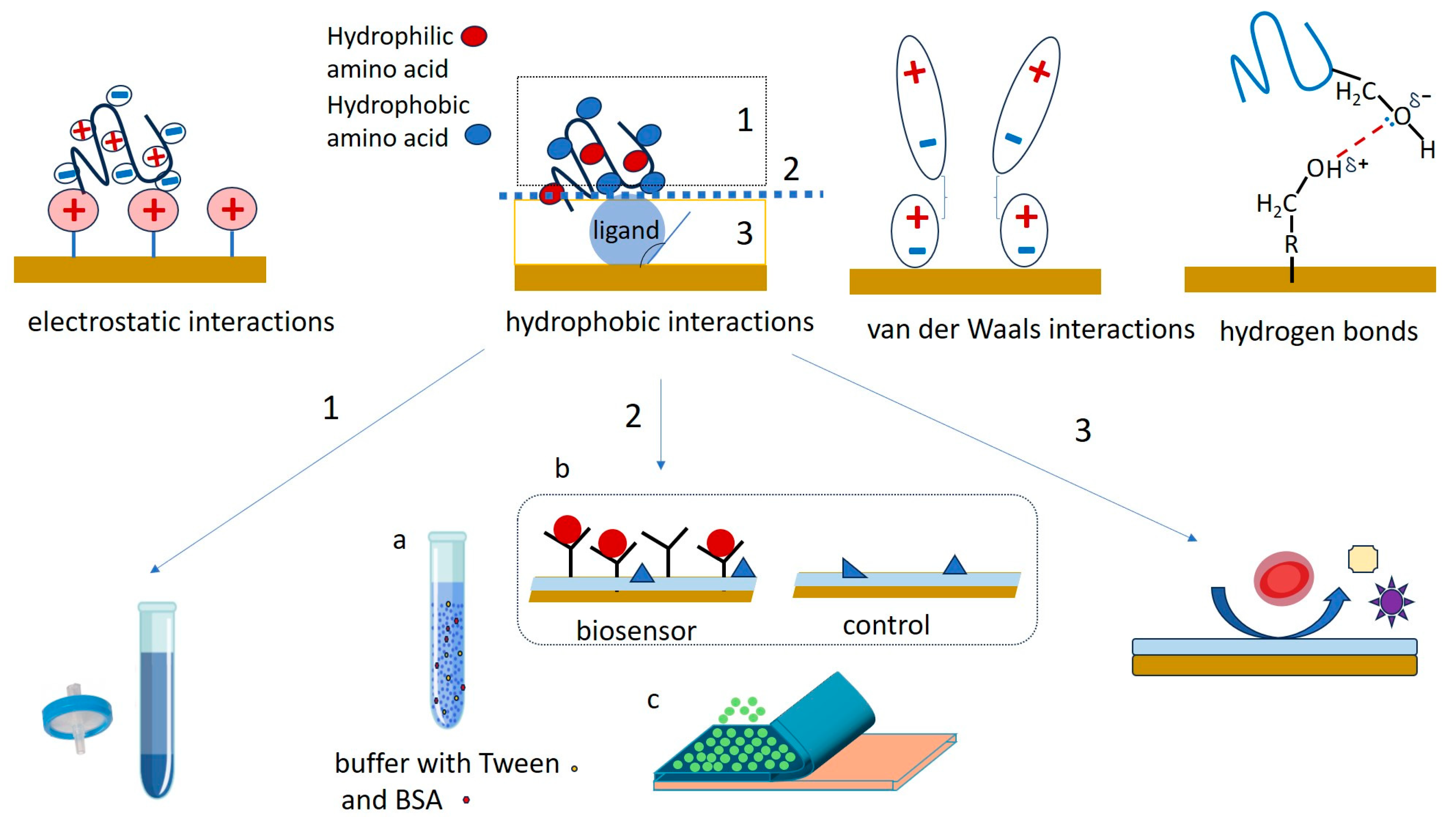 Chemosensors 13 00092 g002