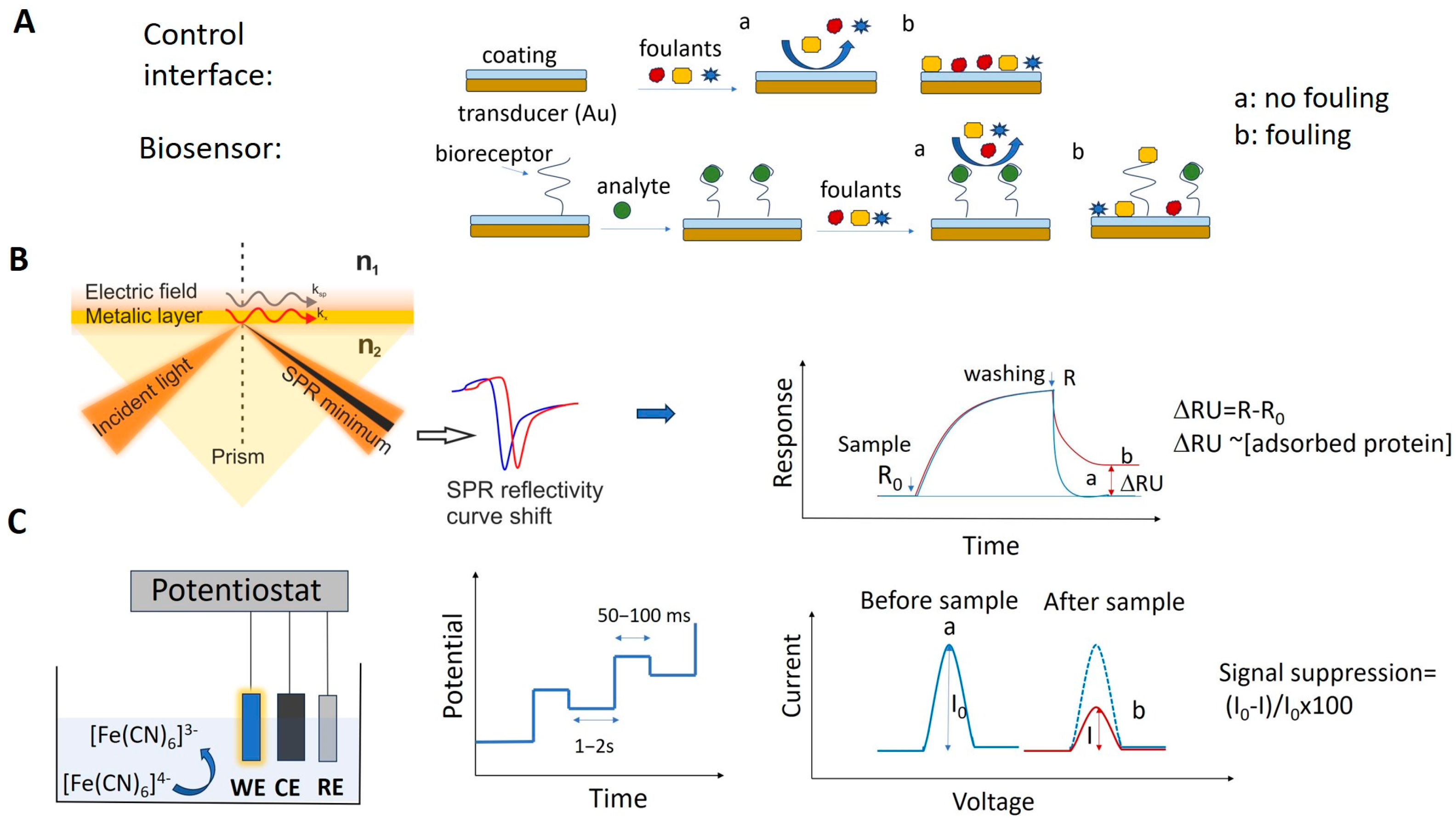 Chemosensors 13 00092 g004