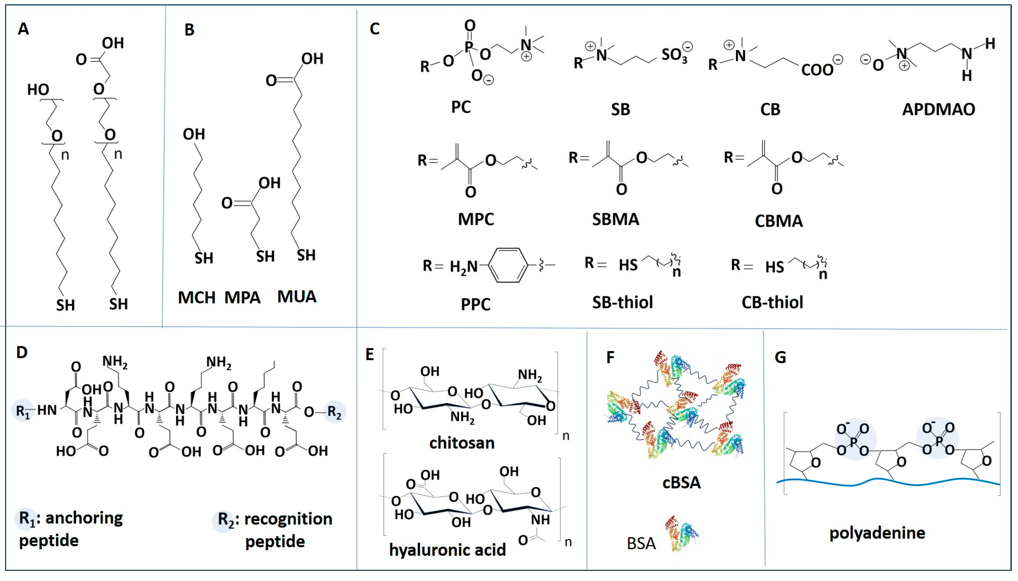 Chemosensors 13 00092 g005