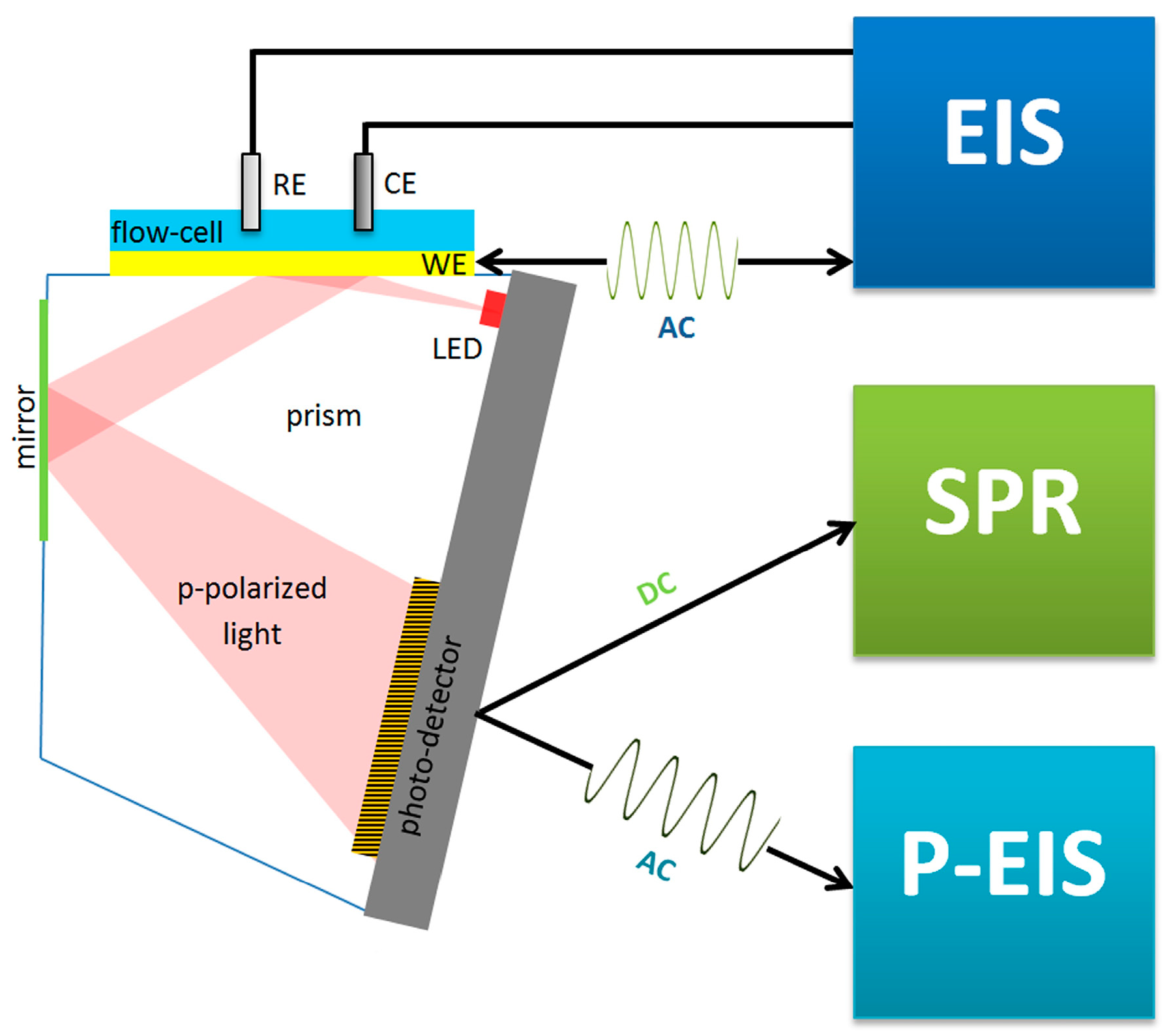 Chemosensors 13 00092 g011
