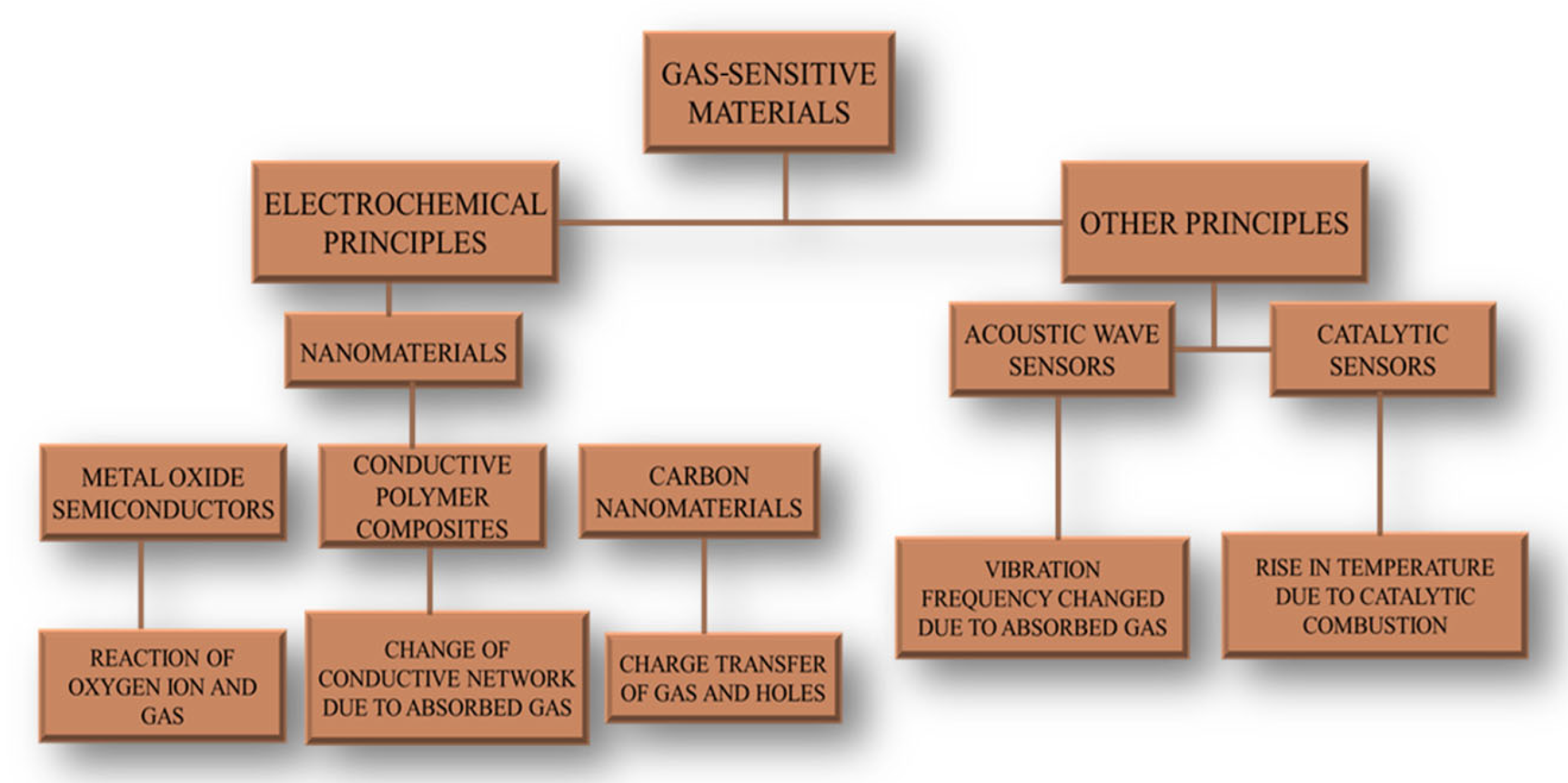 Chemosensors 13 00115 g001