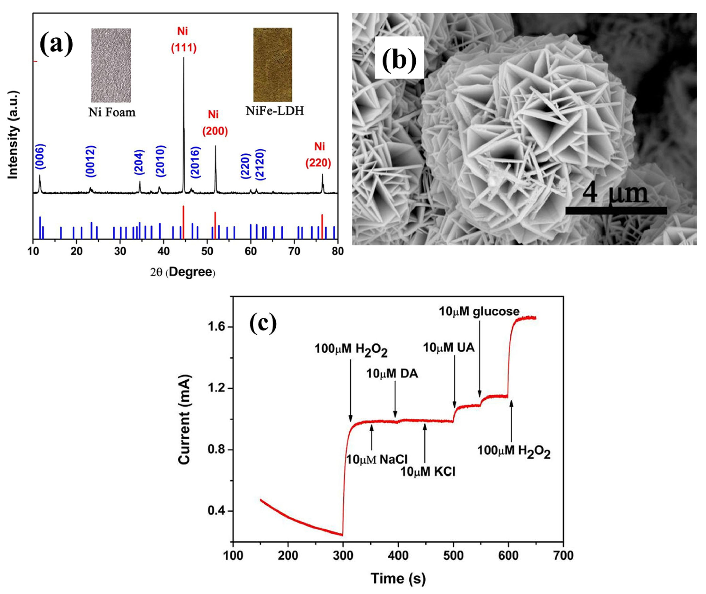 Chemosensors 13 00115 g008