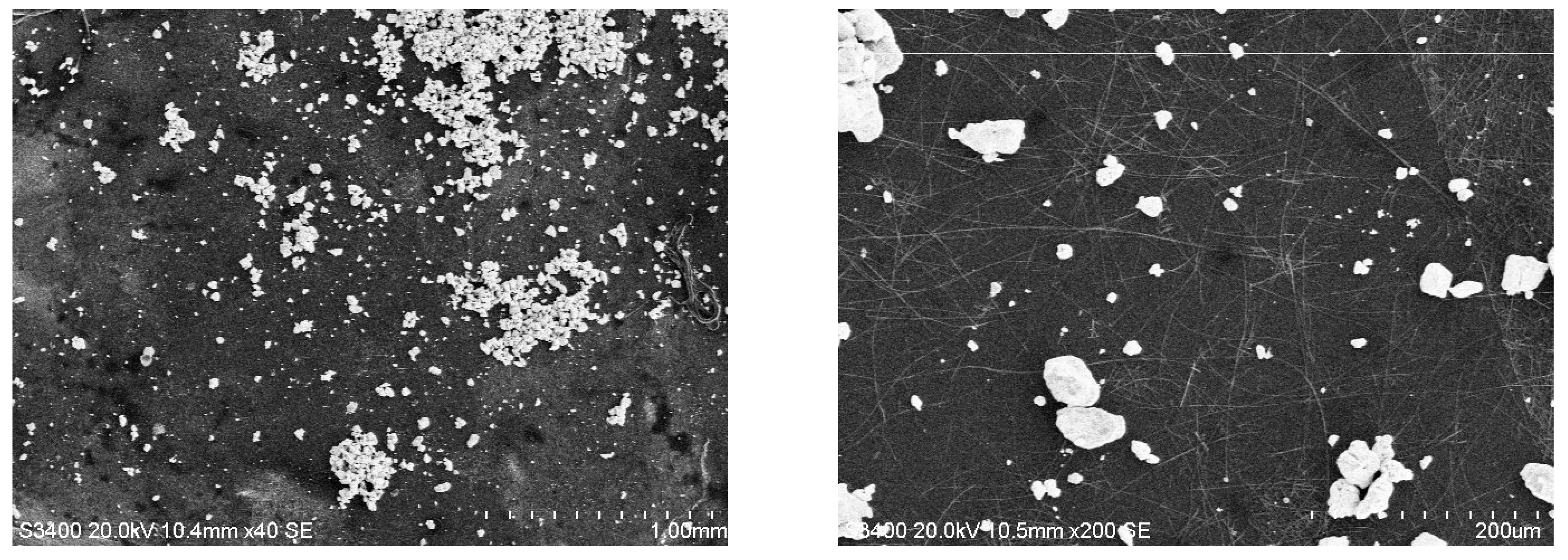 Chemosensors 13 00117 g008