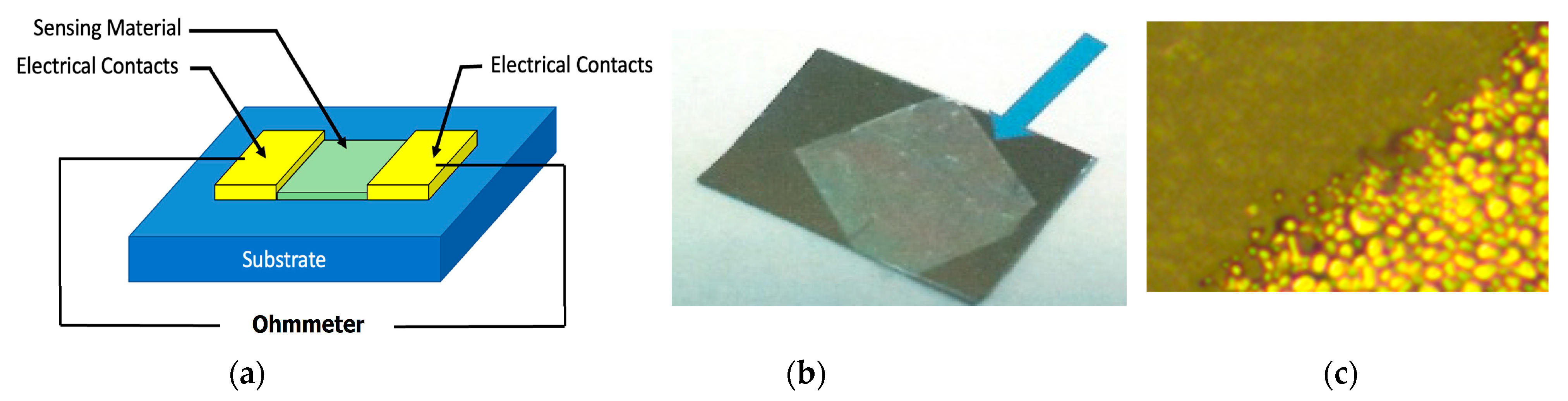 Chemosensors 13 00117 g015