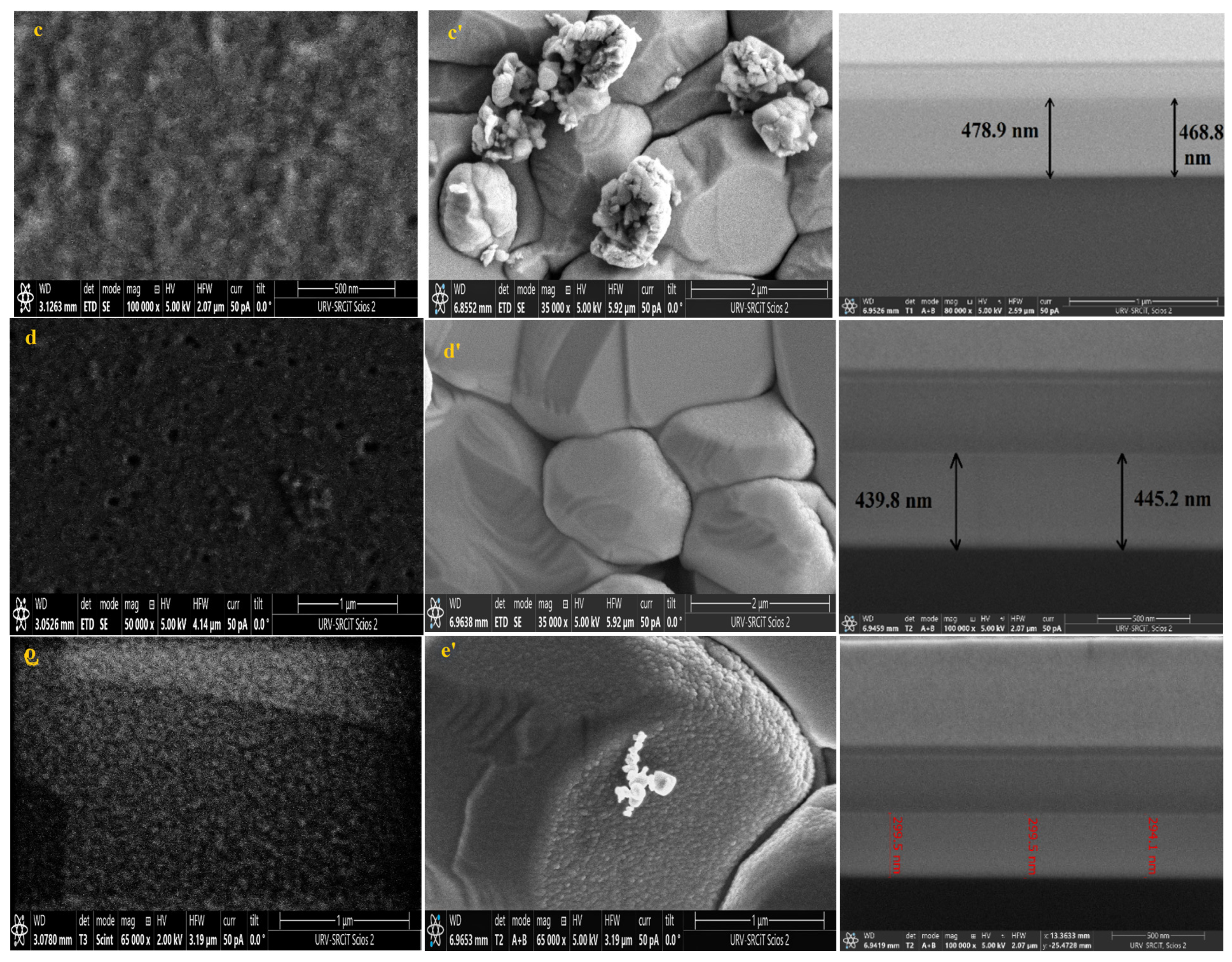 Chemosensors 13 00121 g008b