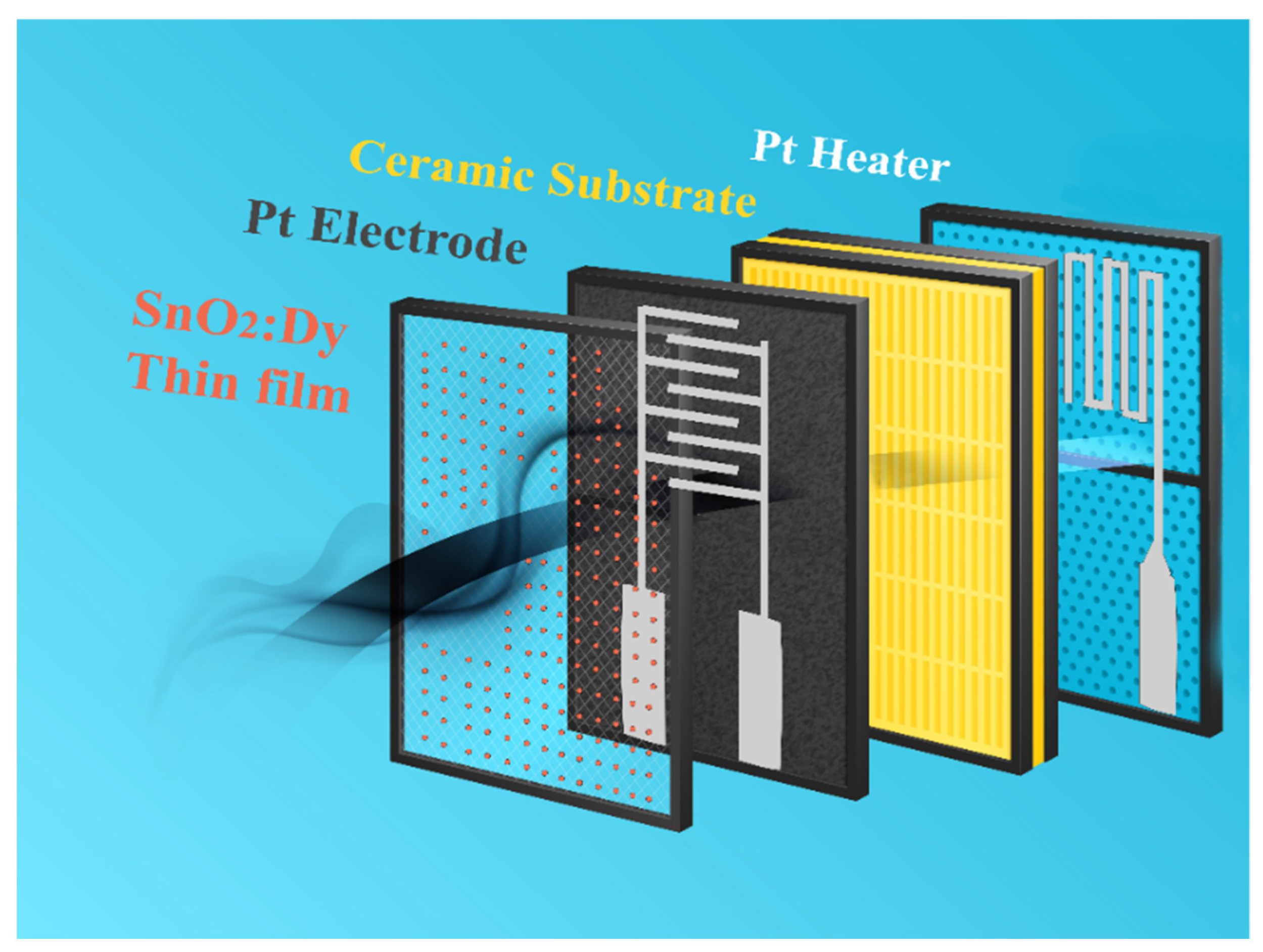 Chemosensors 13 00121 g010