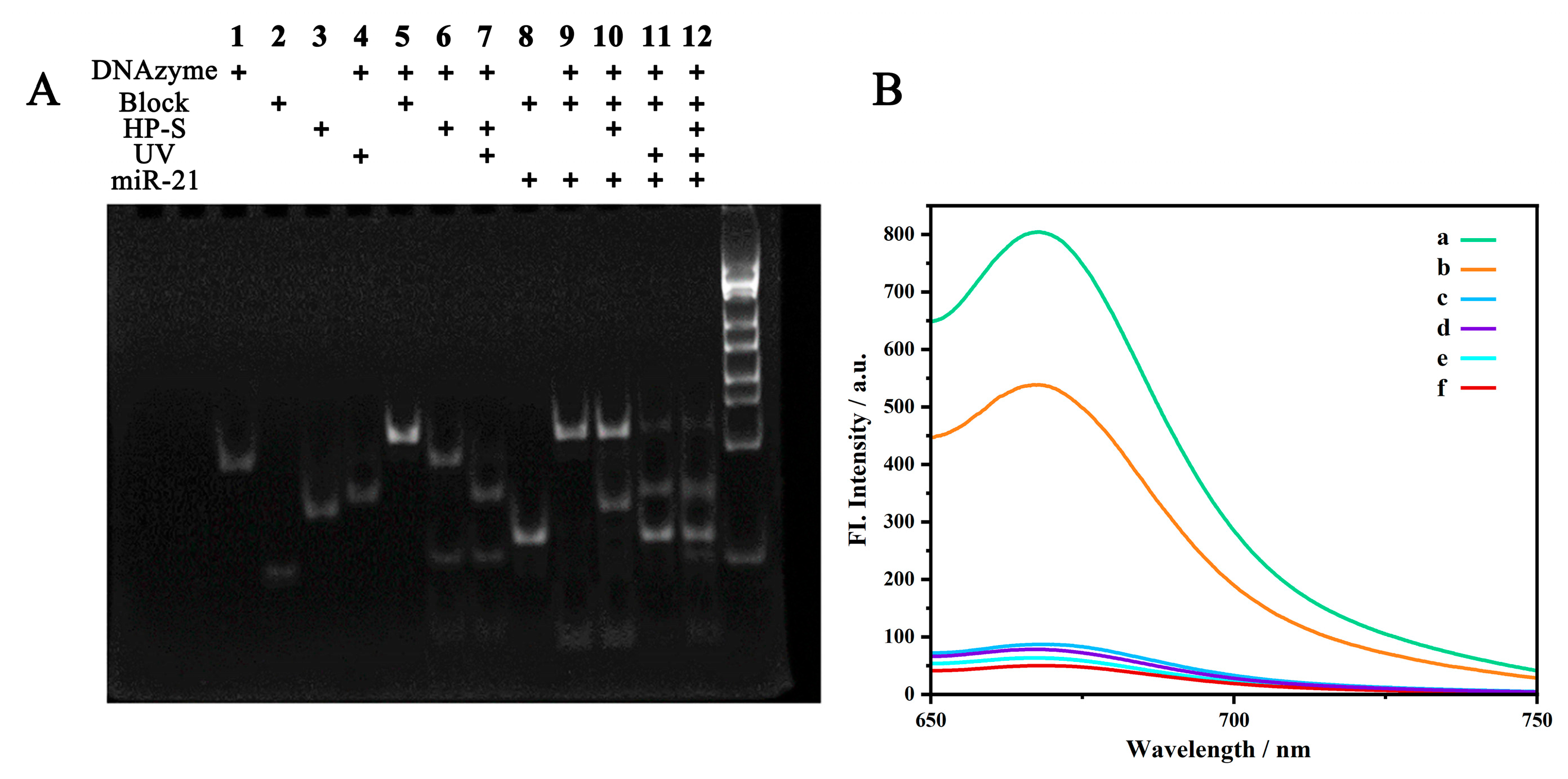 Chemosensors 13 00123 g002