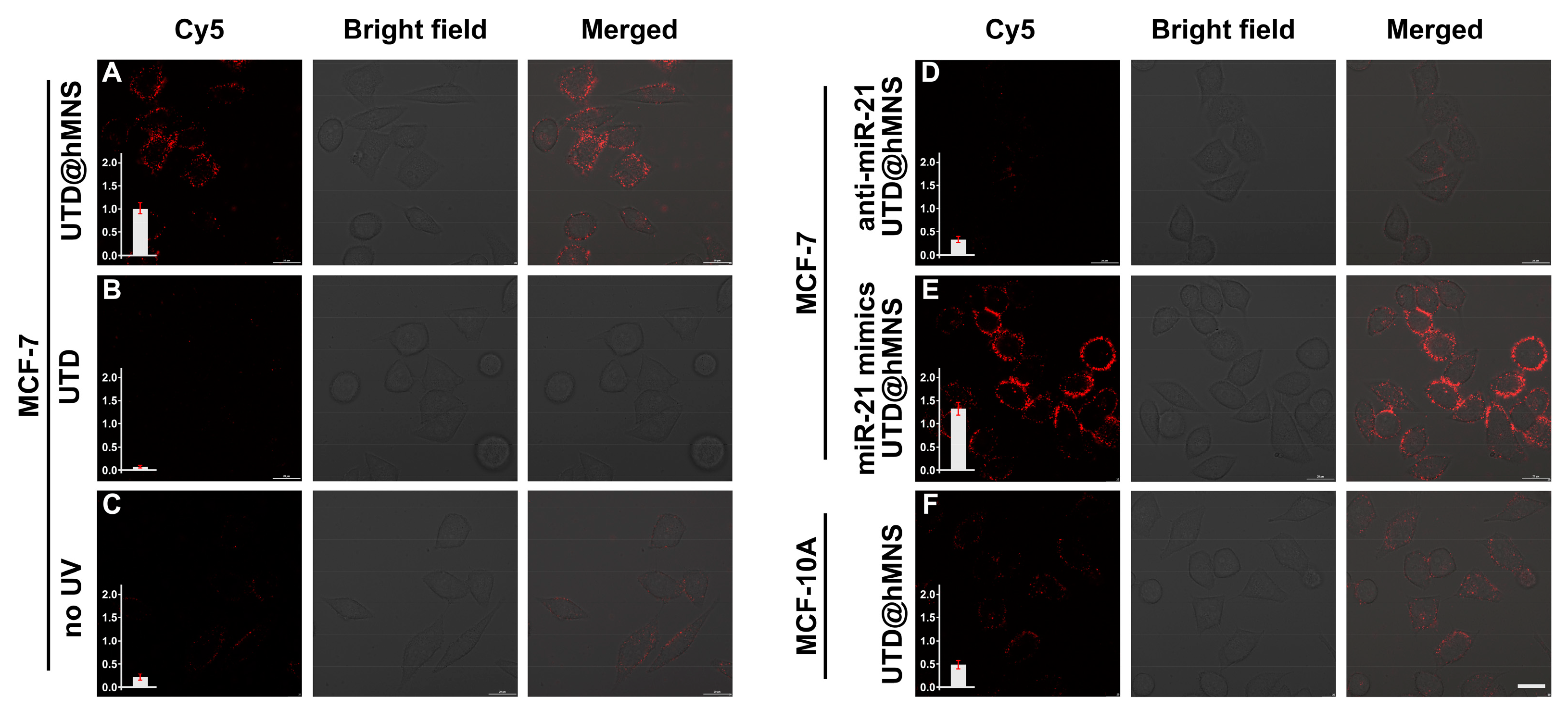 Chemosensors 13 00123 g005