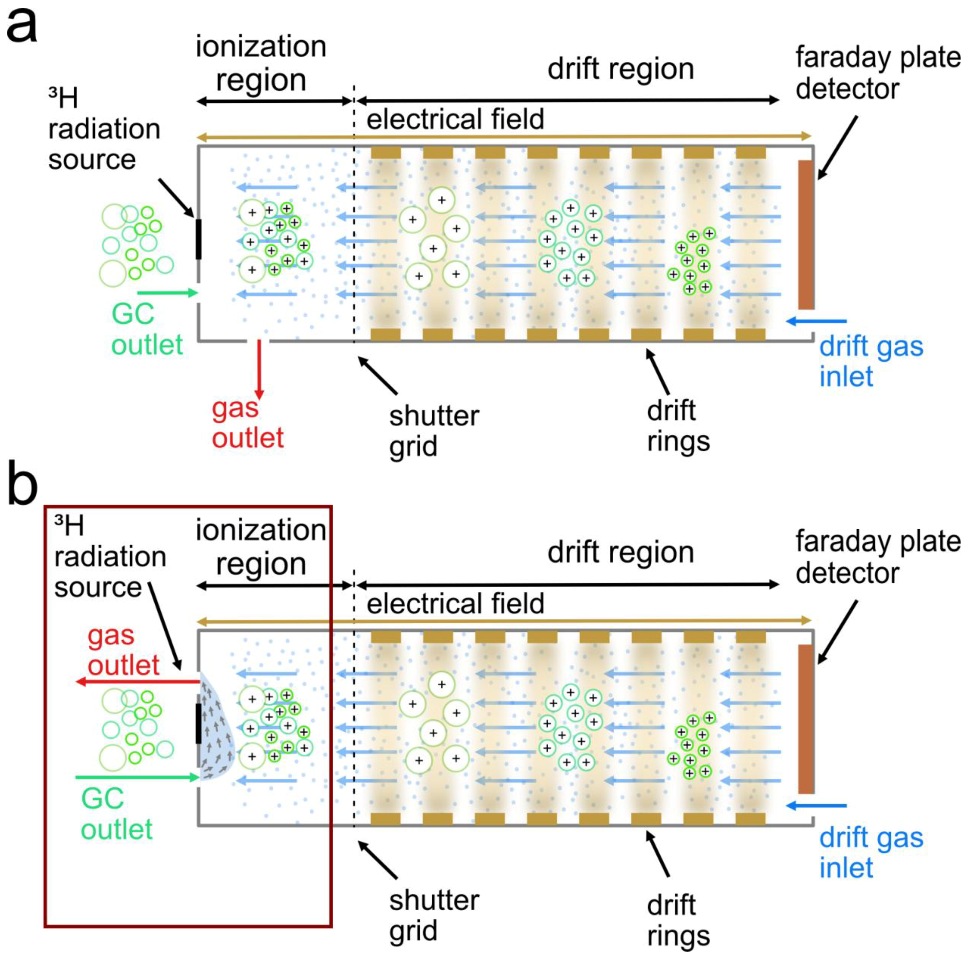 Chemosensors 13 00131 g001
