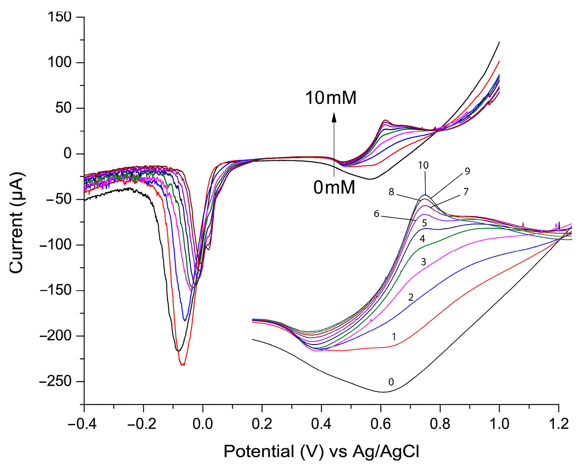 Chemosensors 13 00133 g004
