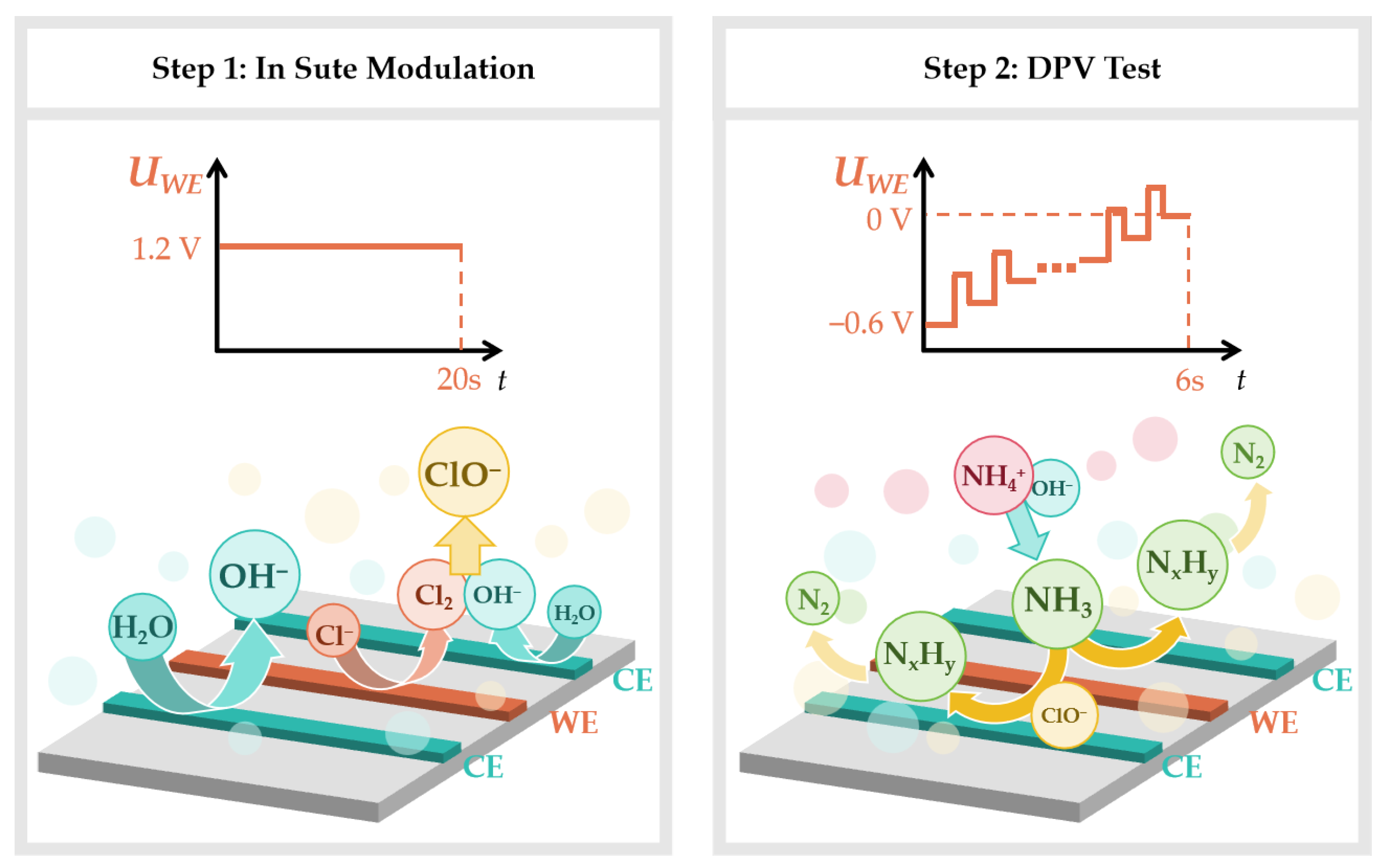 Chemosensors 13 00138 g006