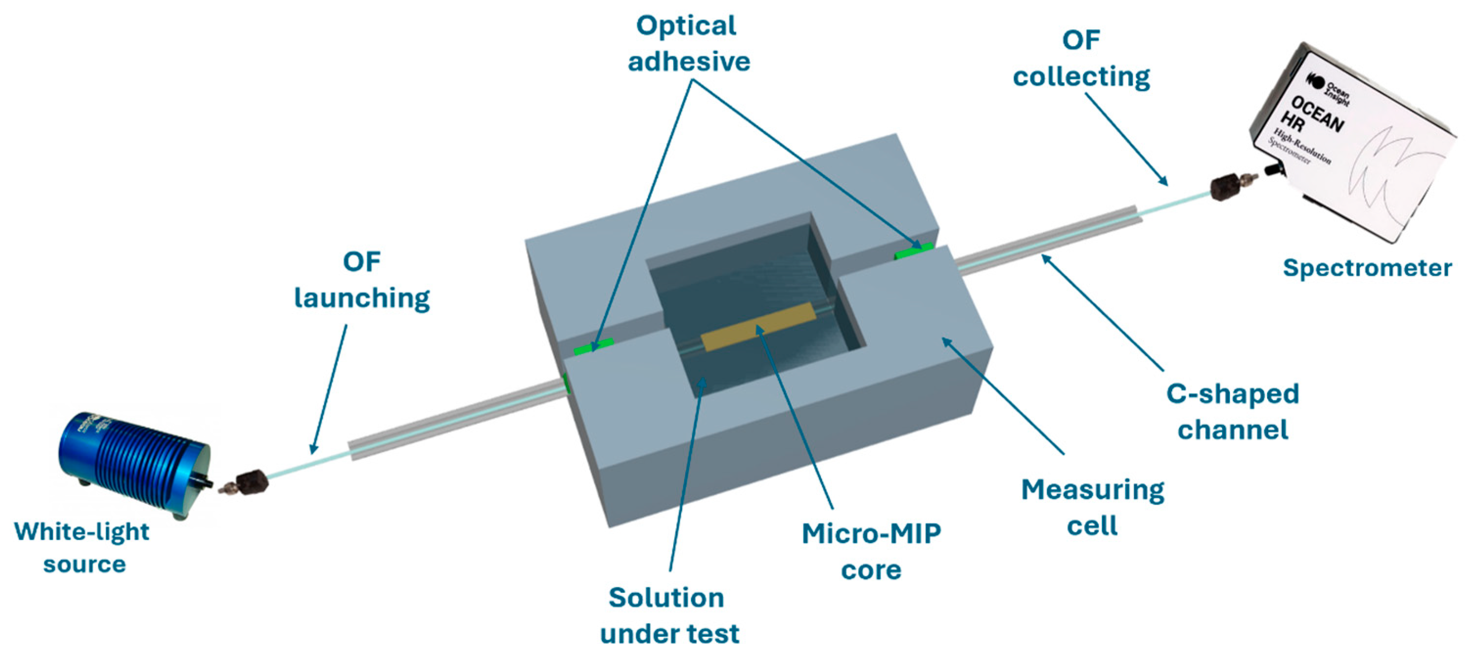Chemosensors 13 00139 g002