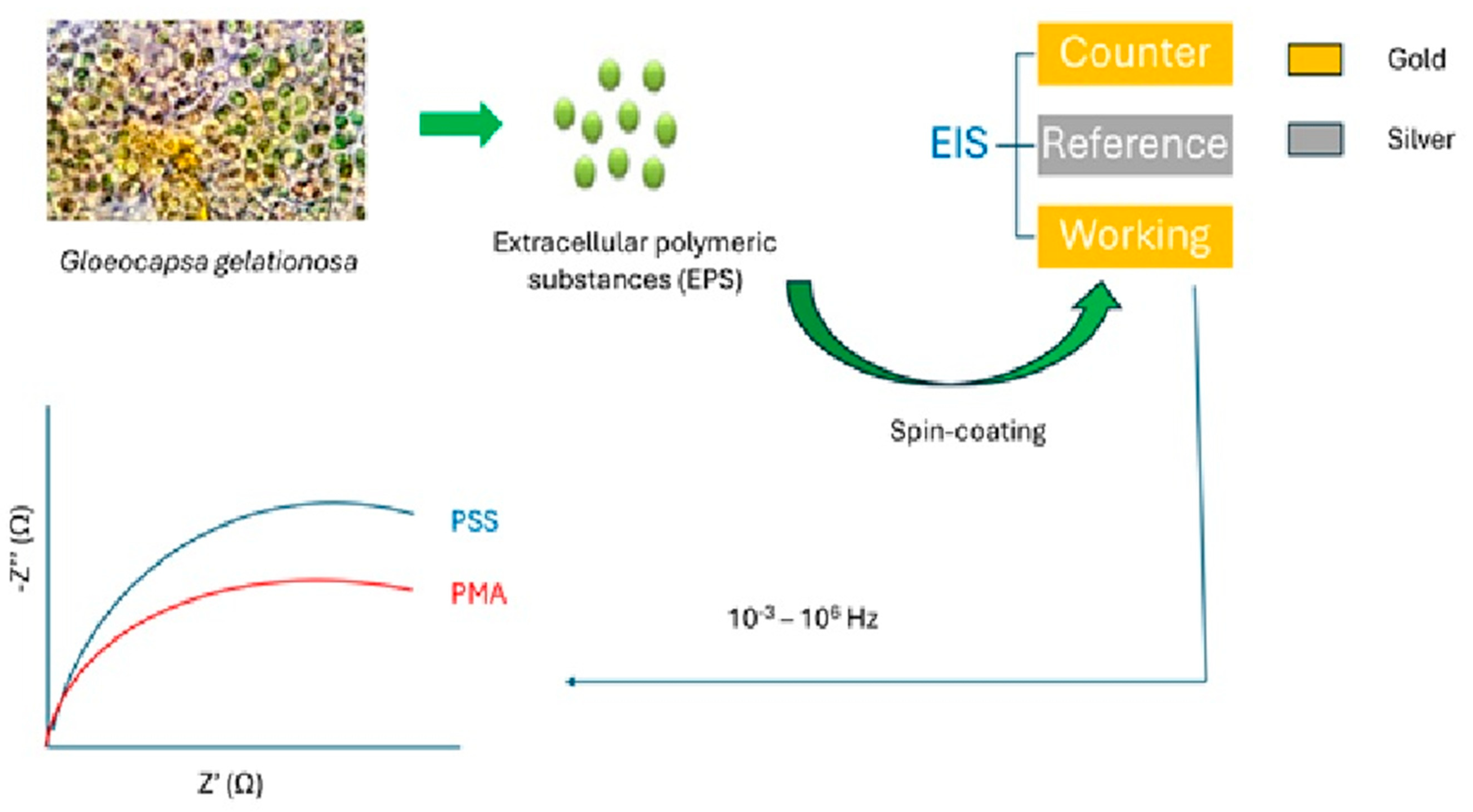 Chemosensors 13 00143 g002