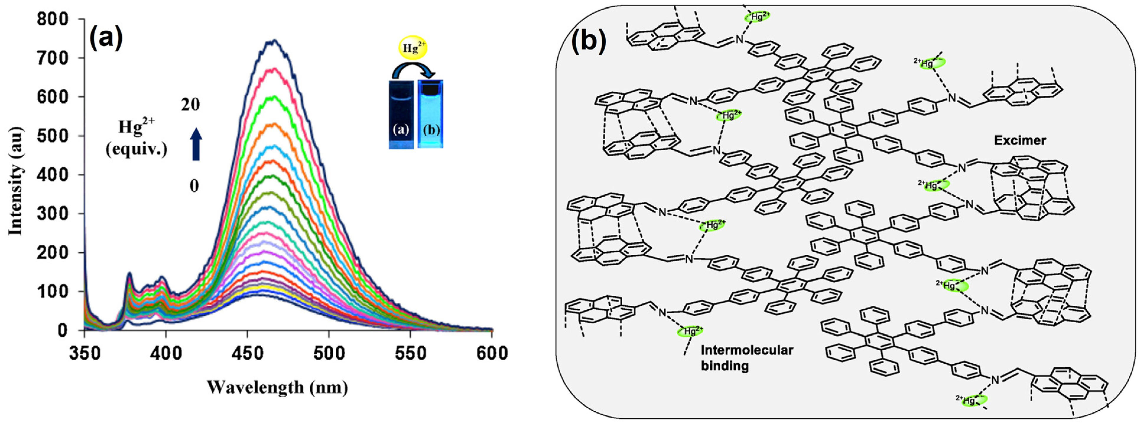 Chemosensors 13 00145 g005
