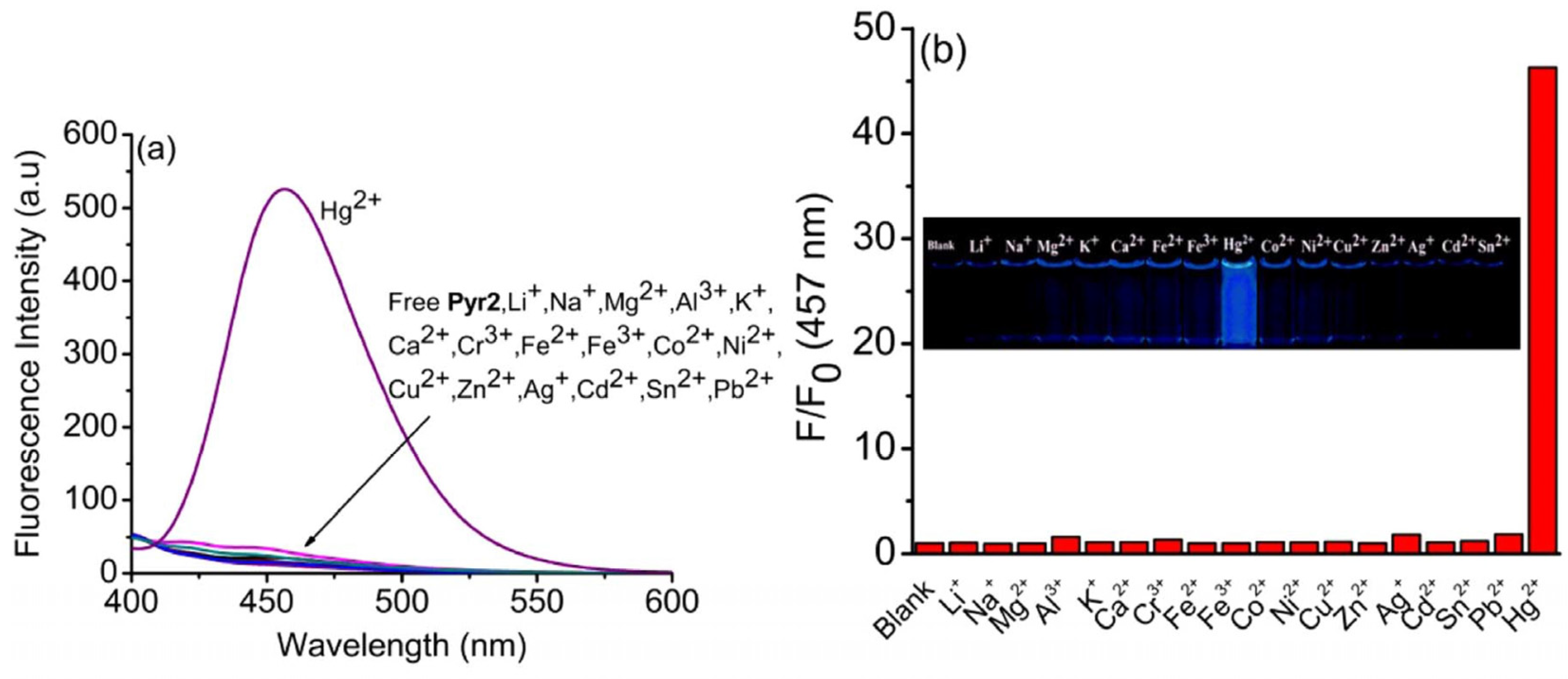 Chemosensors 13 00145 g012