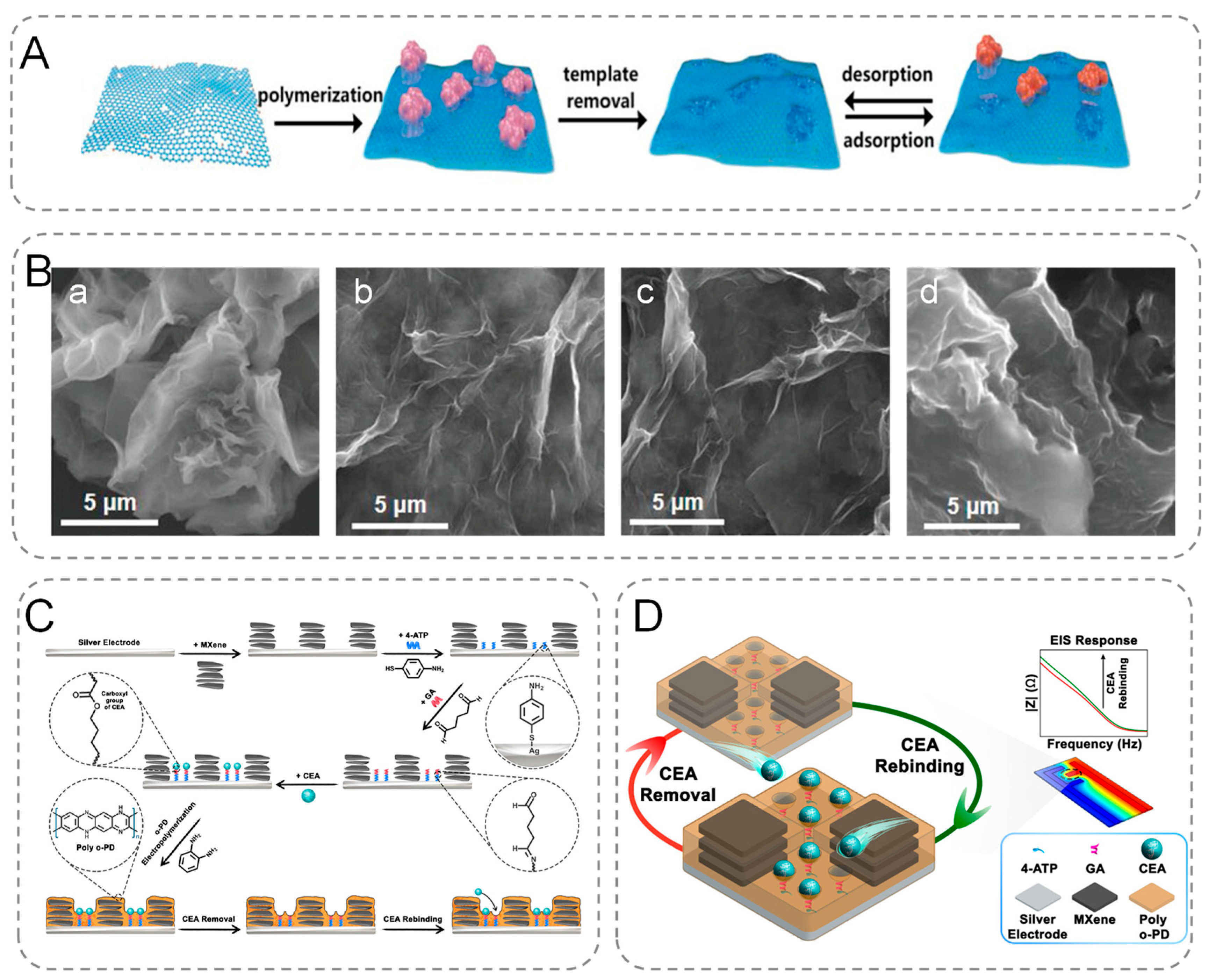 Chemosensors 13 00146 g001
