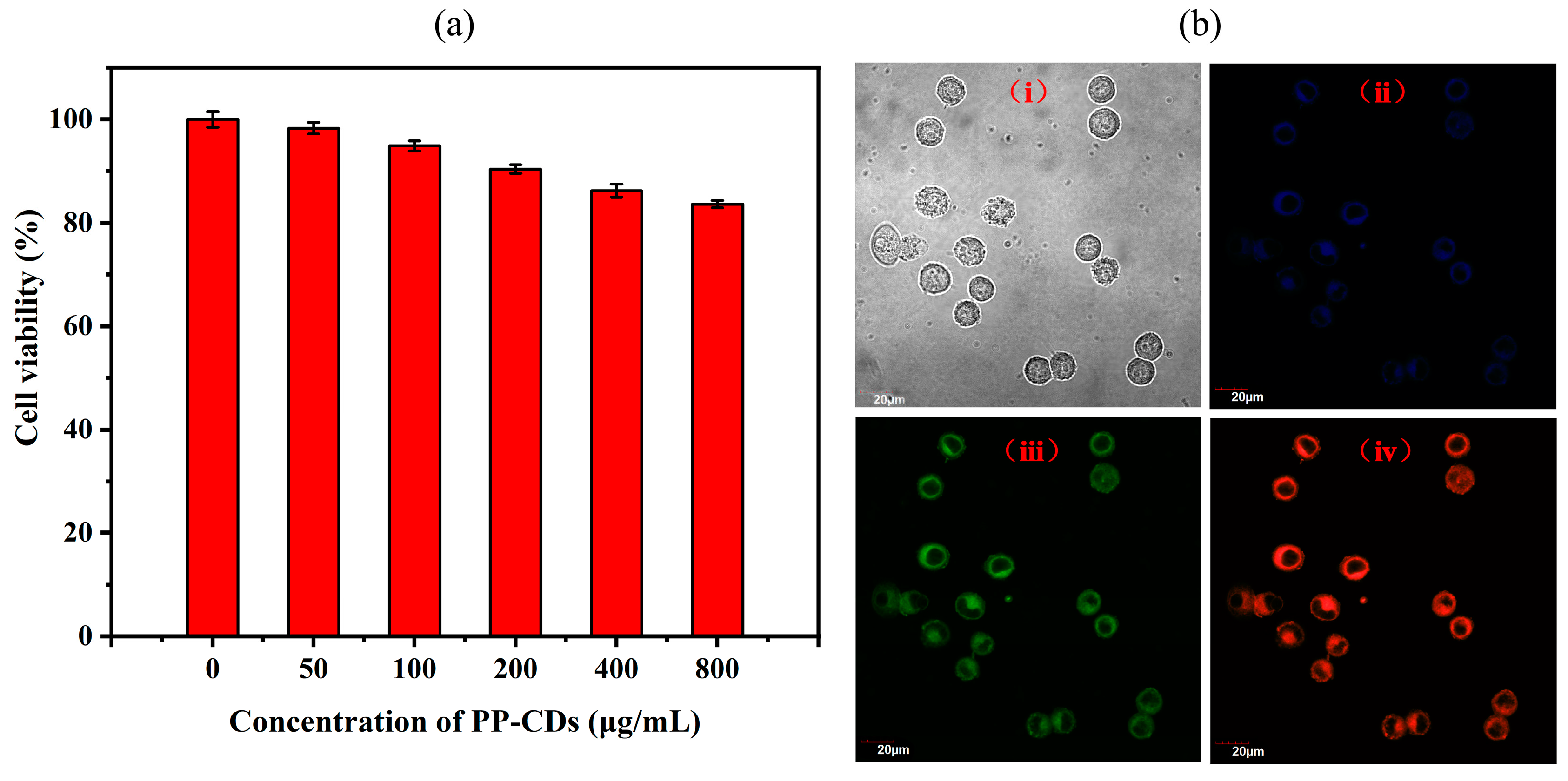 Chemosensors 13 00151 g006