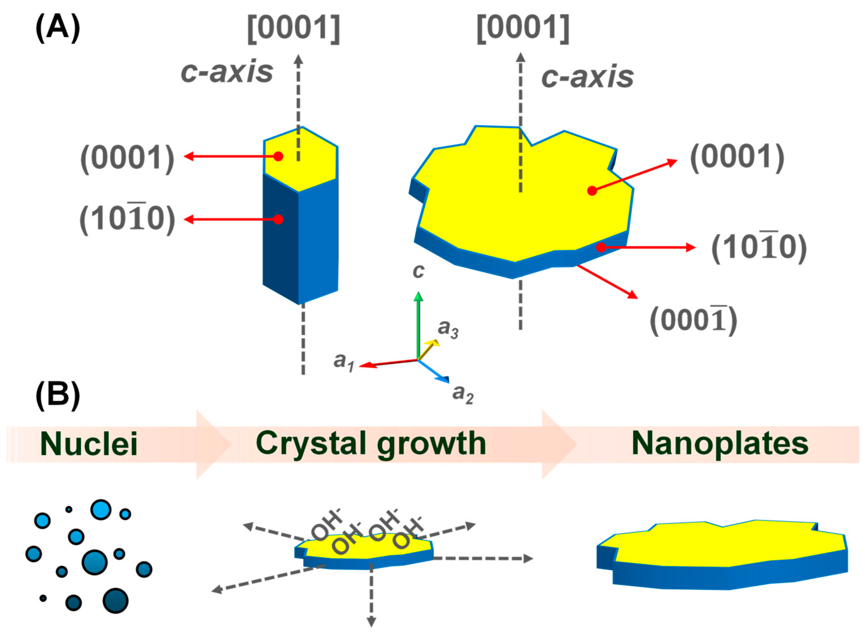 Chemosensors 13 00152 g005