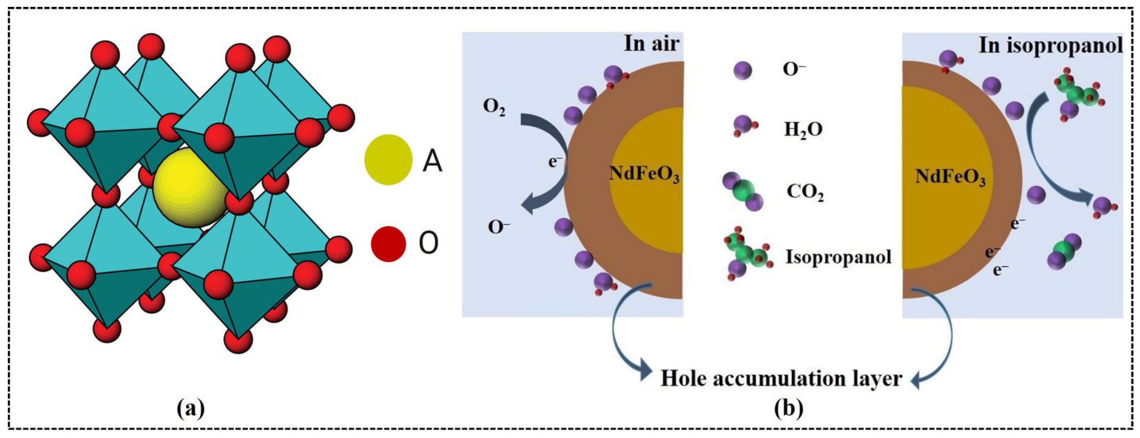 Chemosensors 13 00156 g001