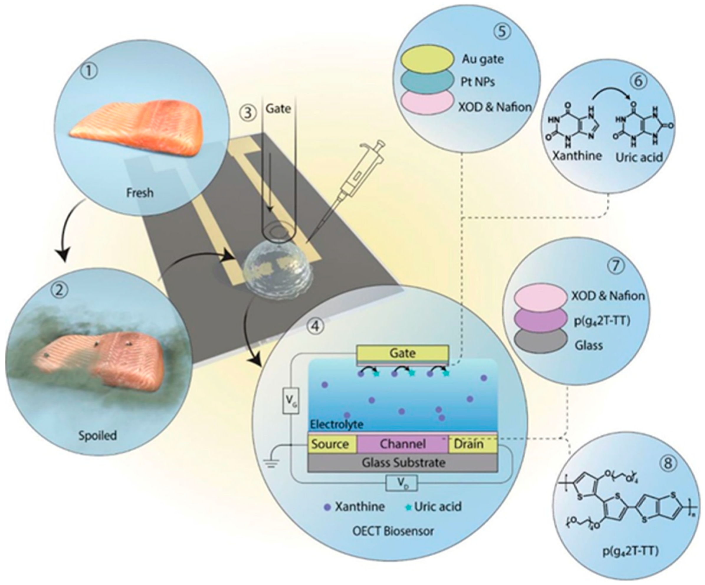 Chemosensors 13 00159 g006 Chemosensors 13 00159 g006