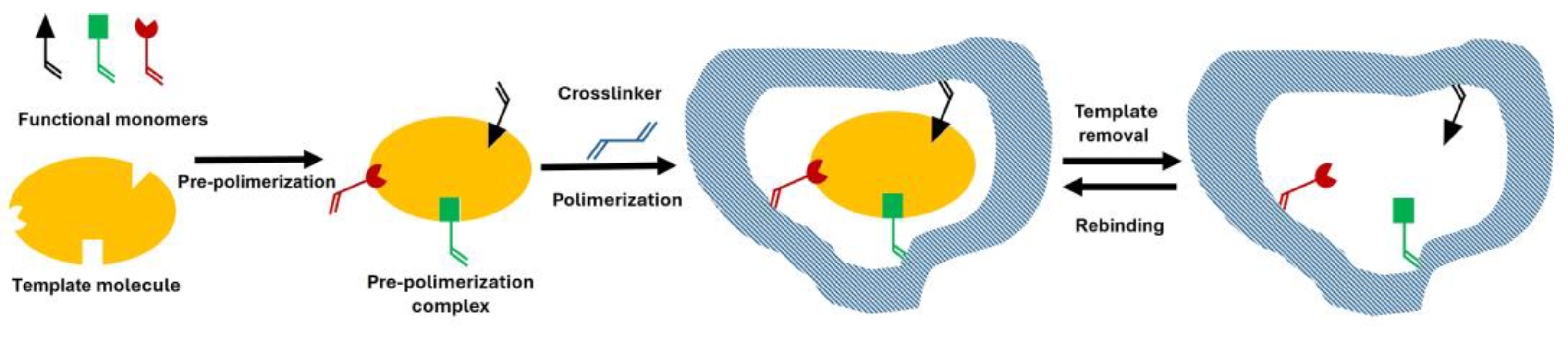 Chemosensors 13 00163 sch001