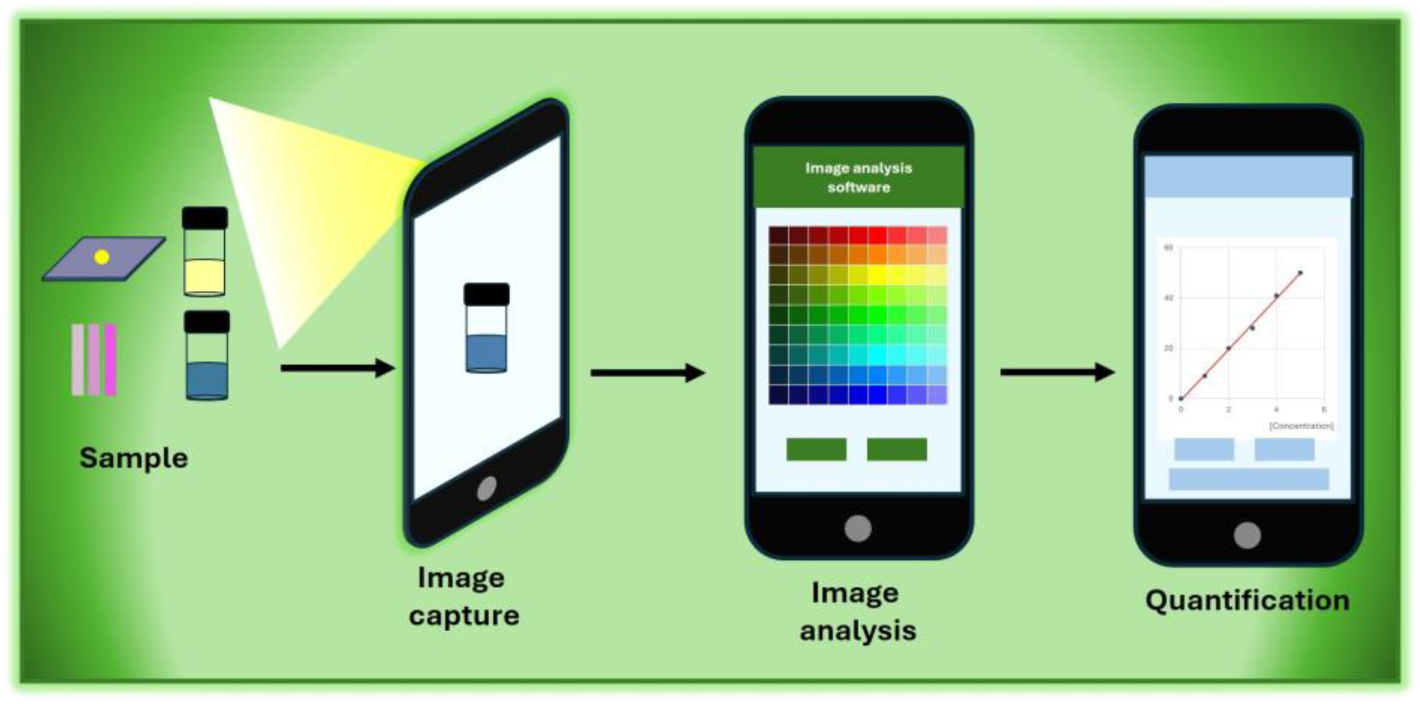 Chemosensors 13 00163 sch002